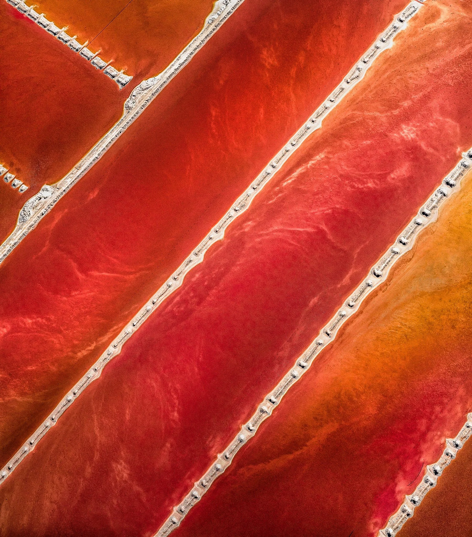 T.I.M ArtistsTAS_HoelenP_03 edit-Edit 26cm.JPG