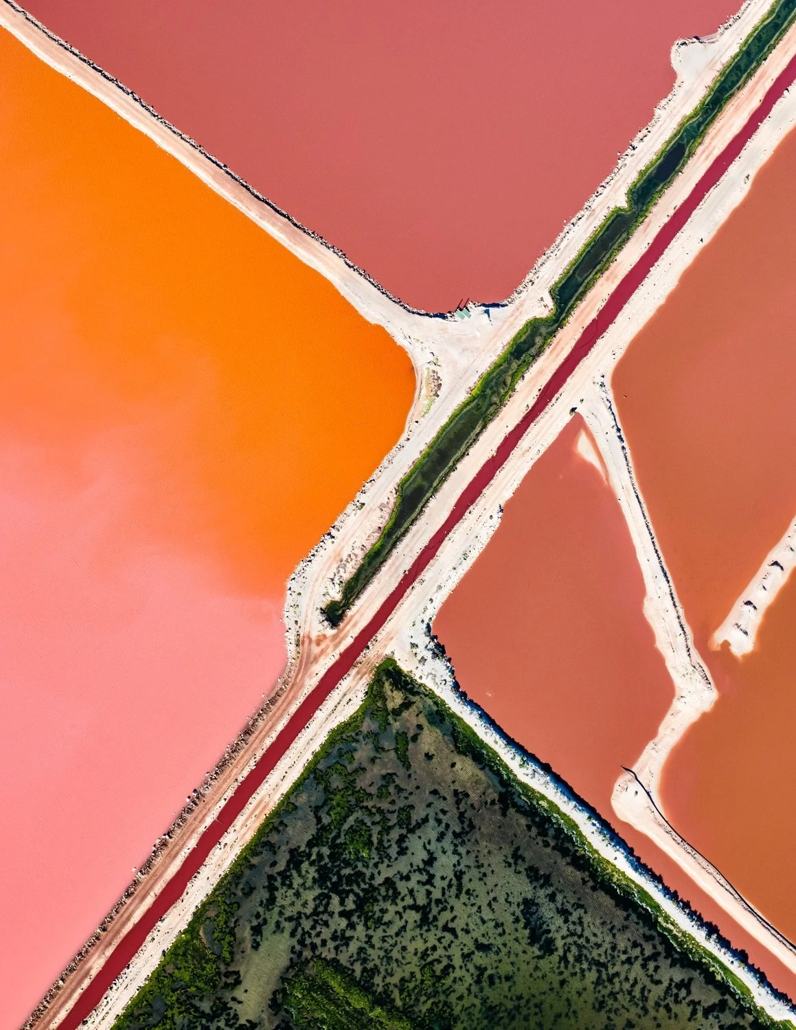 Shark Bay