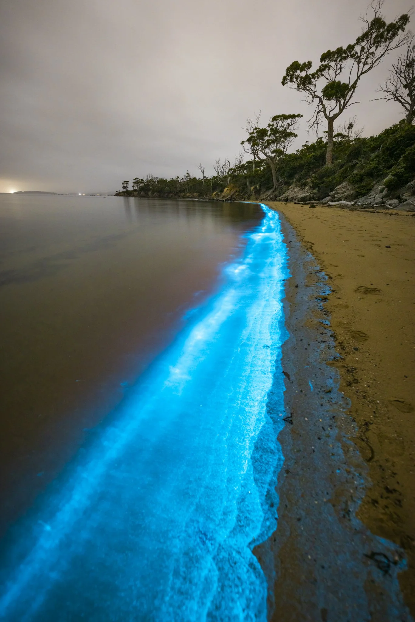 Bio Bruny_79A8099.JPG