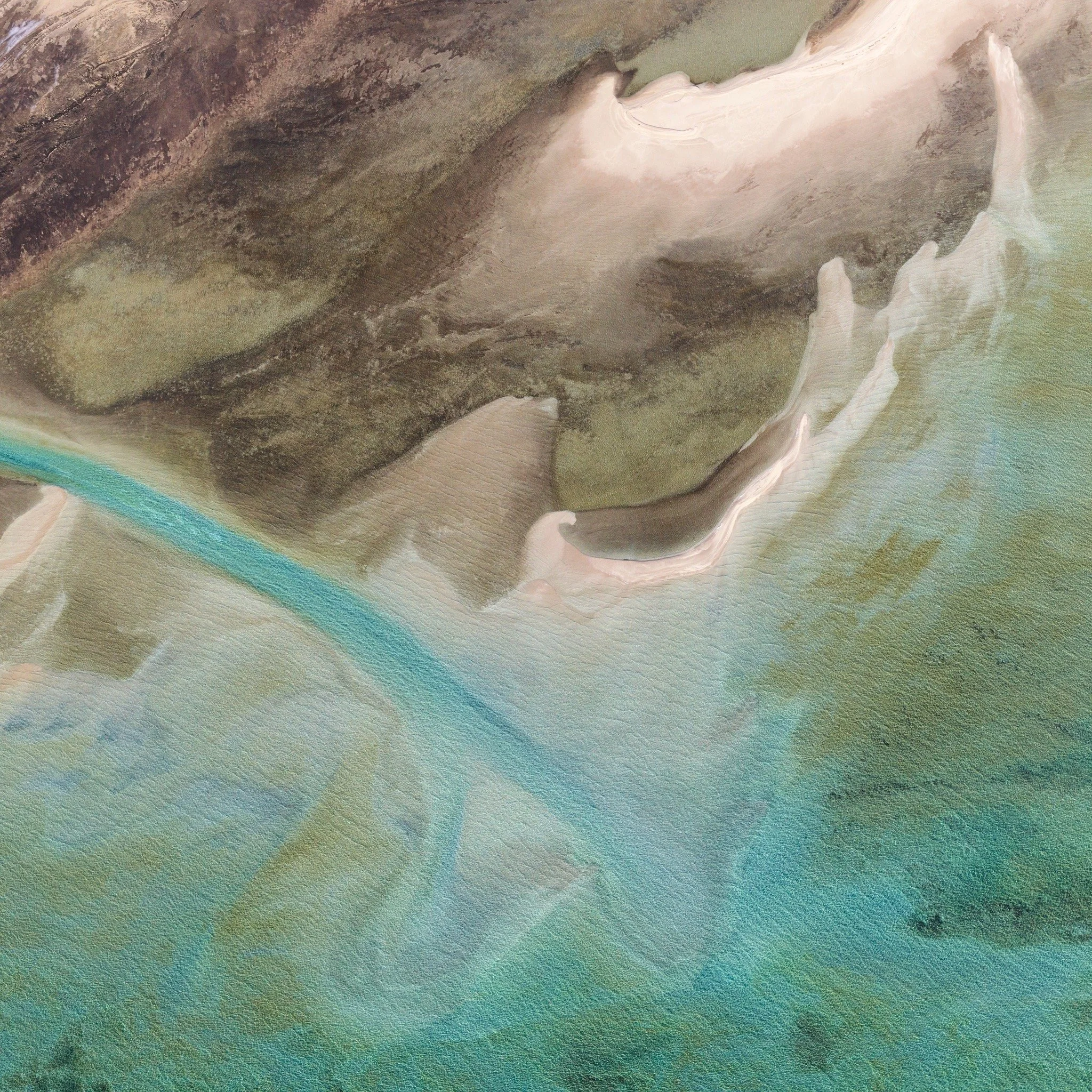 Shark Bay