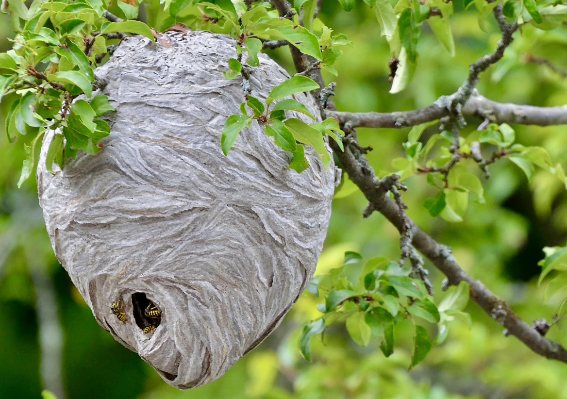 Screenshot 2026-04-15 at 11.34.30 AM.png