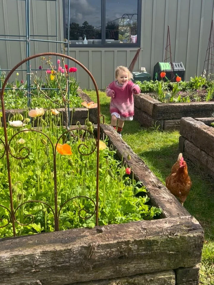 Spring snips 🌷 tulips poppies lambs chooks Penny dogs walks etc