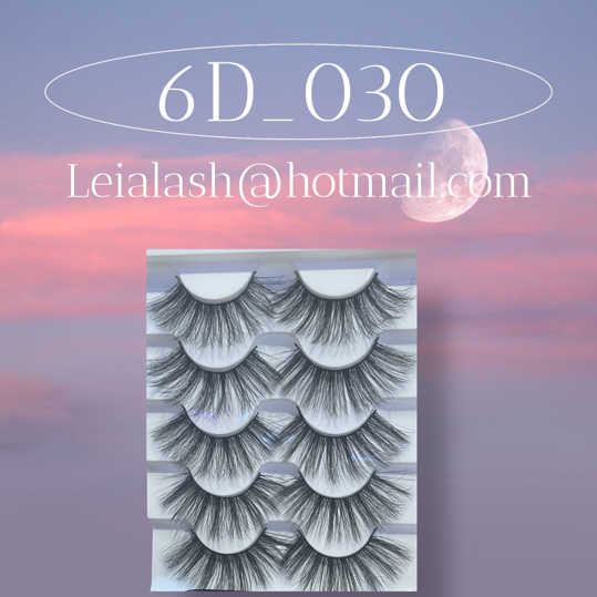 6D 030  H07 R 03 L6 01.png