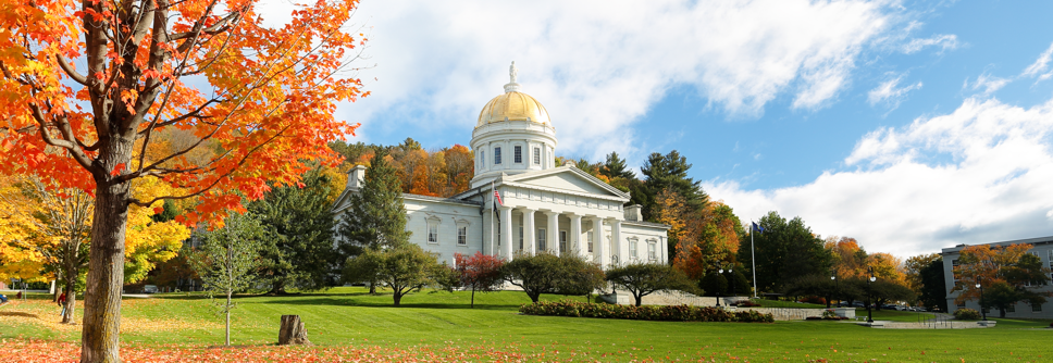 Vermont Asset Management Information System (VAMIS)