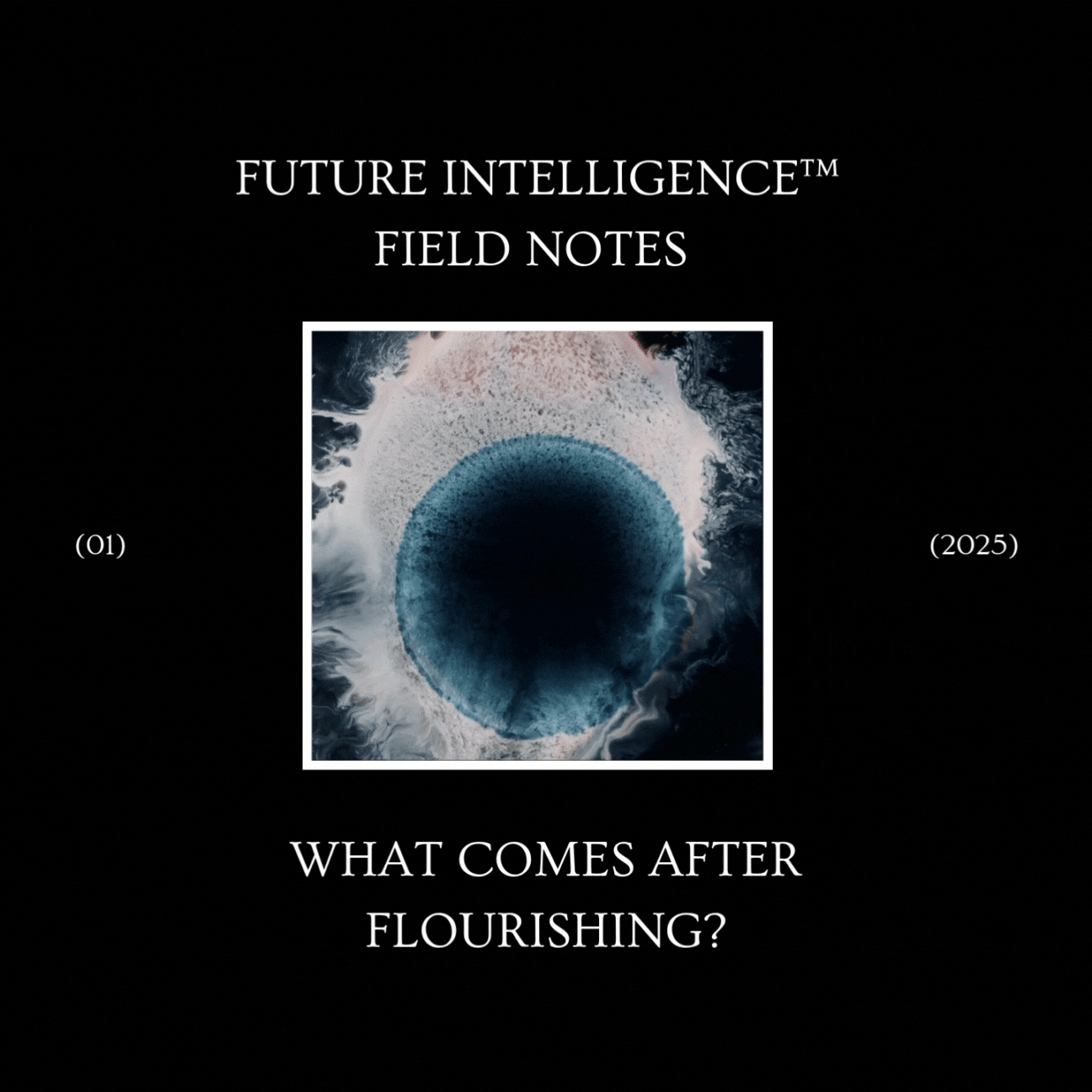What Comes After Flourishing?