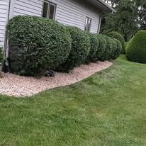 Professional bush trimming service La Porte IN Neat, precise bush trimming for a clean and polished look — handled by detail-oriented professionals who care about your property throughout Northwest Indiana.