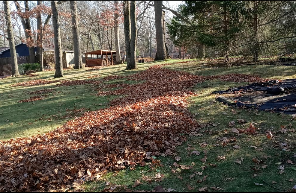 Spring and fall lawn cleanup La Porte IN Seasonal property cleanups to keep your lawn ready year-round — serving La Porte, Valparaiso, Michigan City, and the surrounding Indiana communities.
