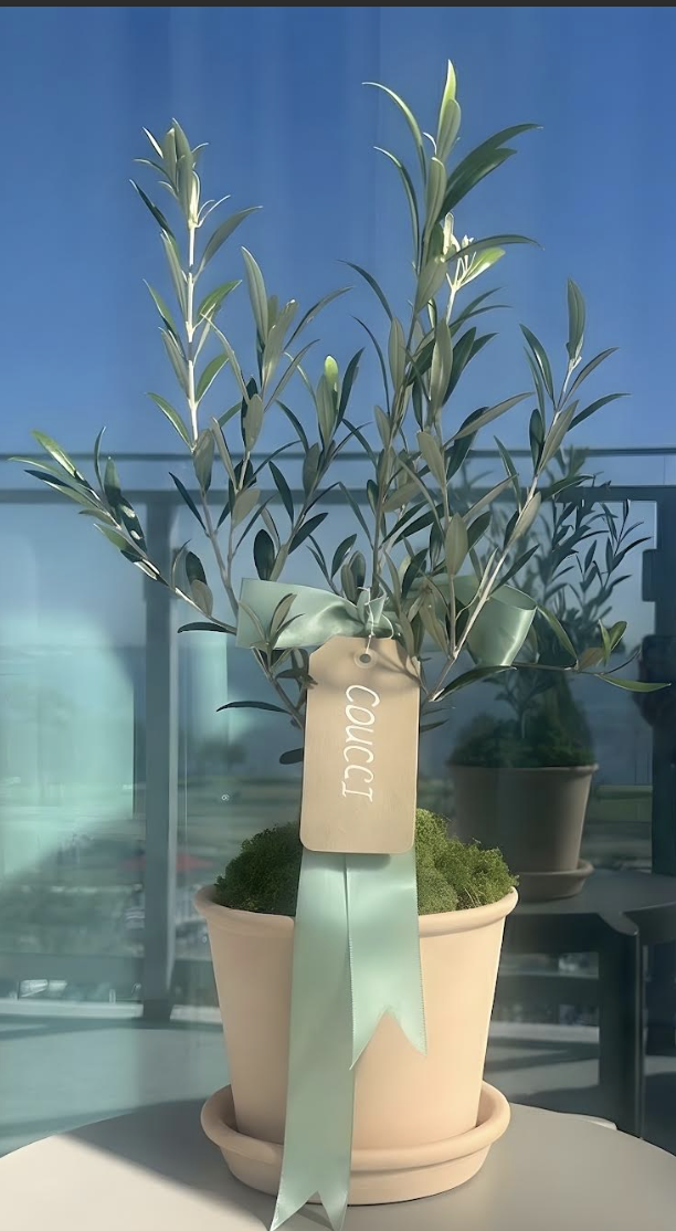 Screenshot 2025-12-17 at 20.19.25.png