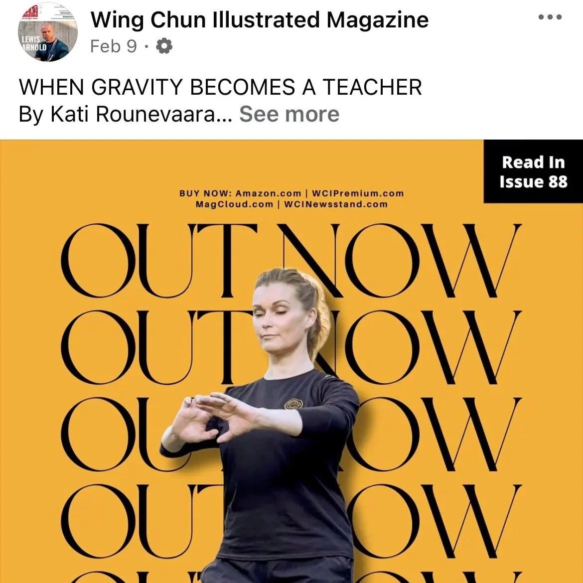 The Wing Chun Illustrated Issue 88
