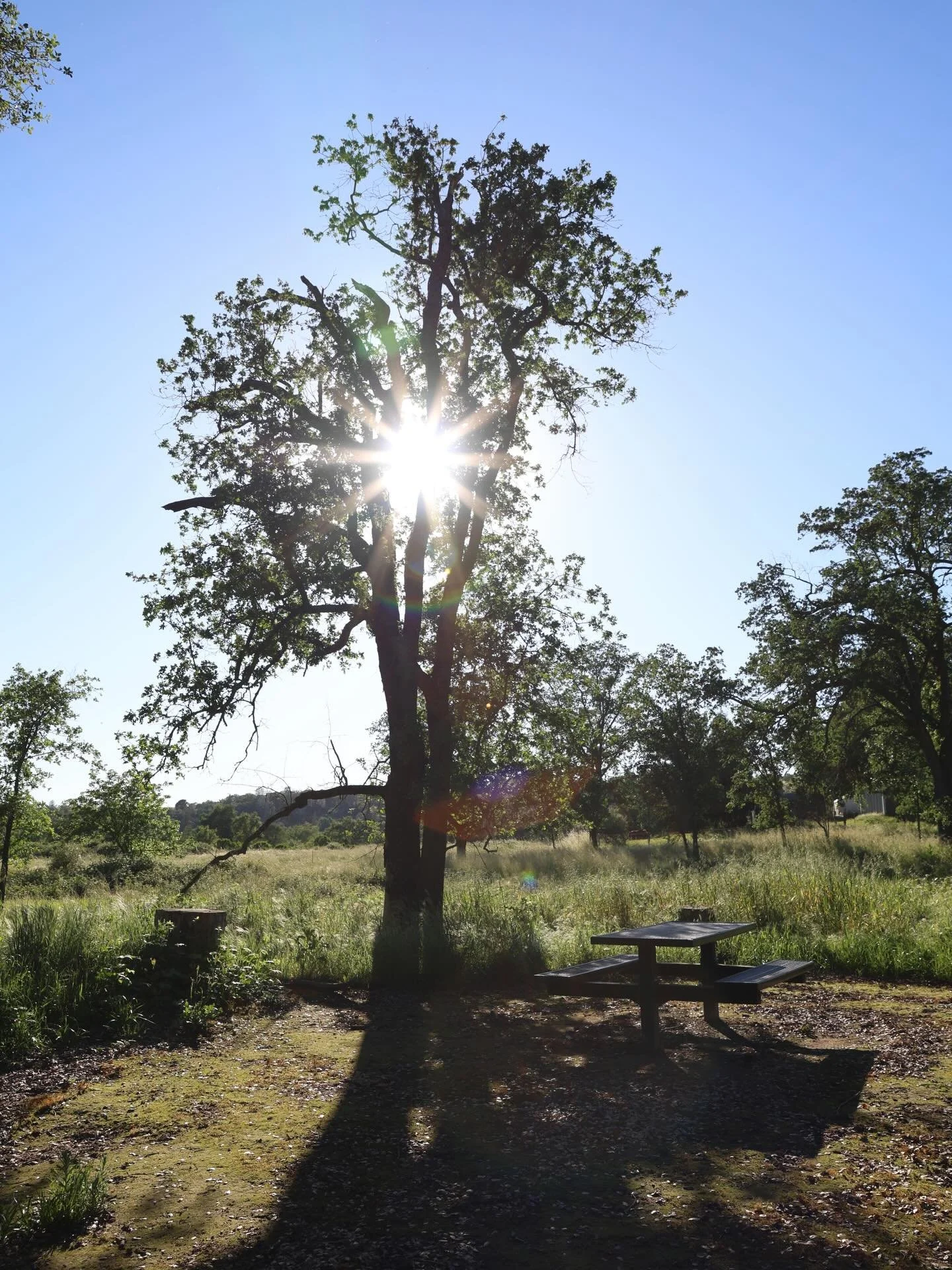 We&rsquo;ve found more royal blood than we have hands to crown.

Some were sent to the mountains, others to the valley. For those seeking a world beyond our borders, we prayed the seas would be kind. In time, we realized that to truly honor what we&r