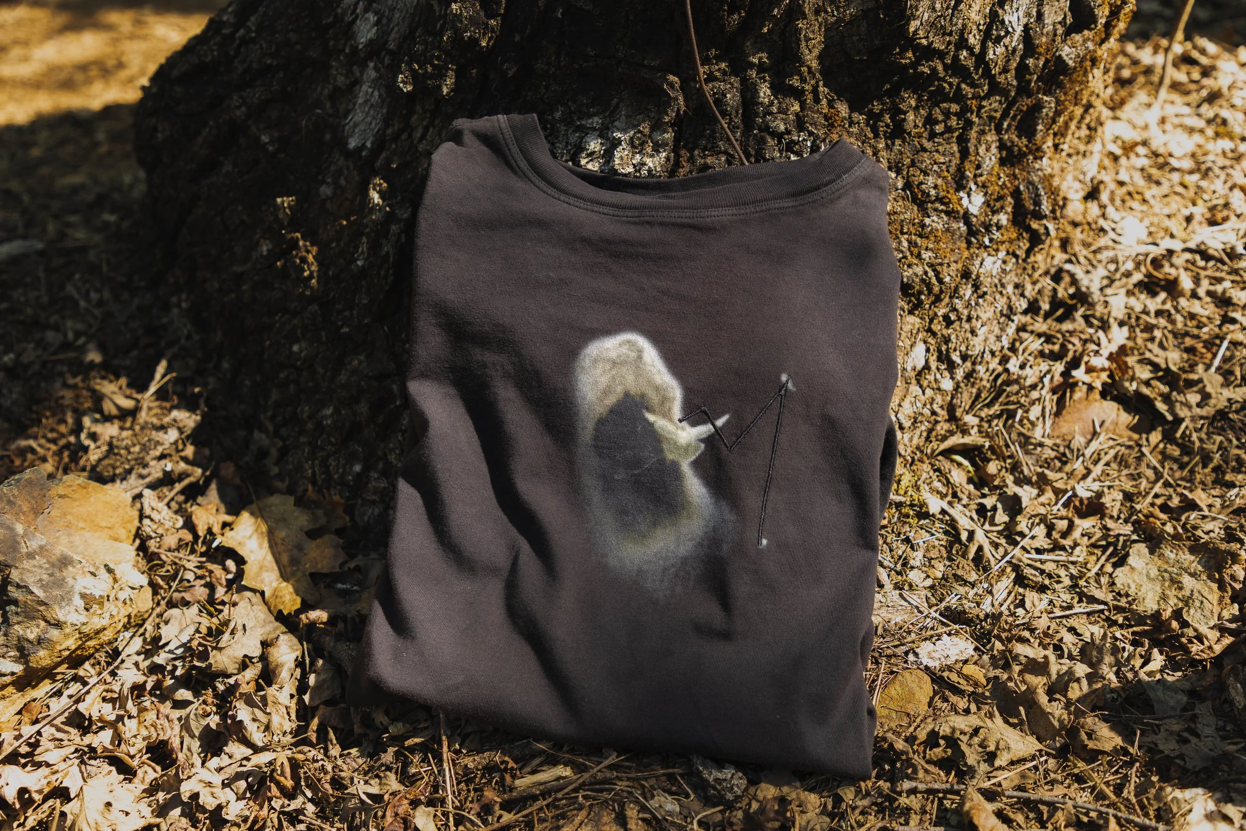 Dark Noah Shirt Next To Tree (1 of 1).jpg