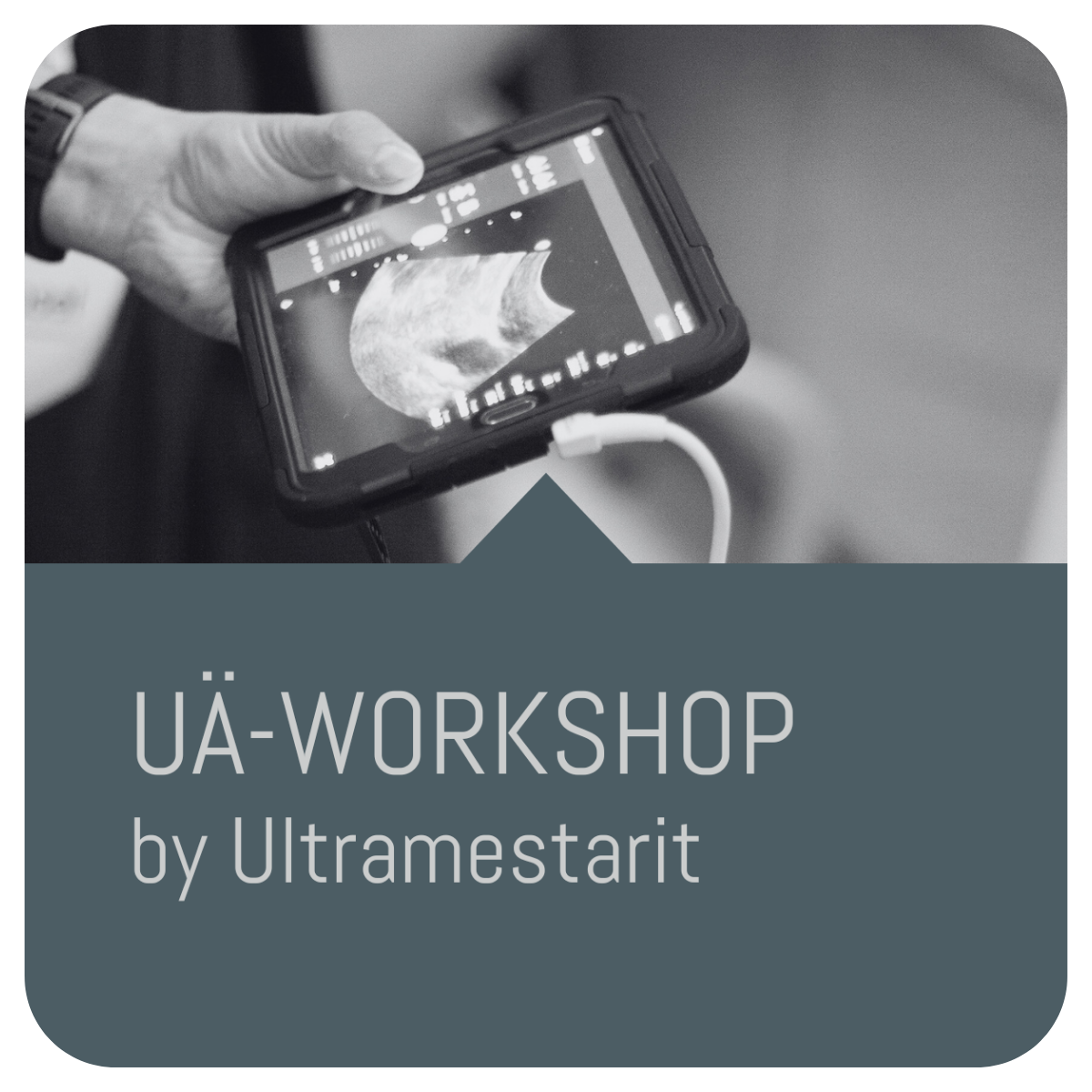 Uä-Workshop By Ultramestarit 