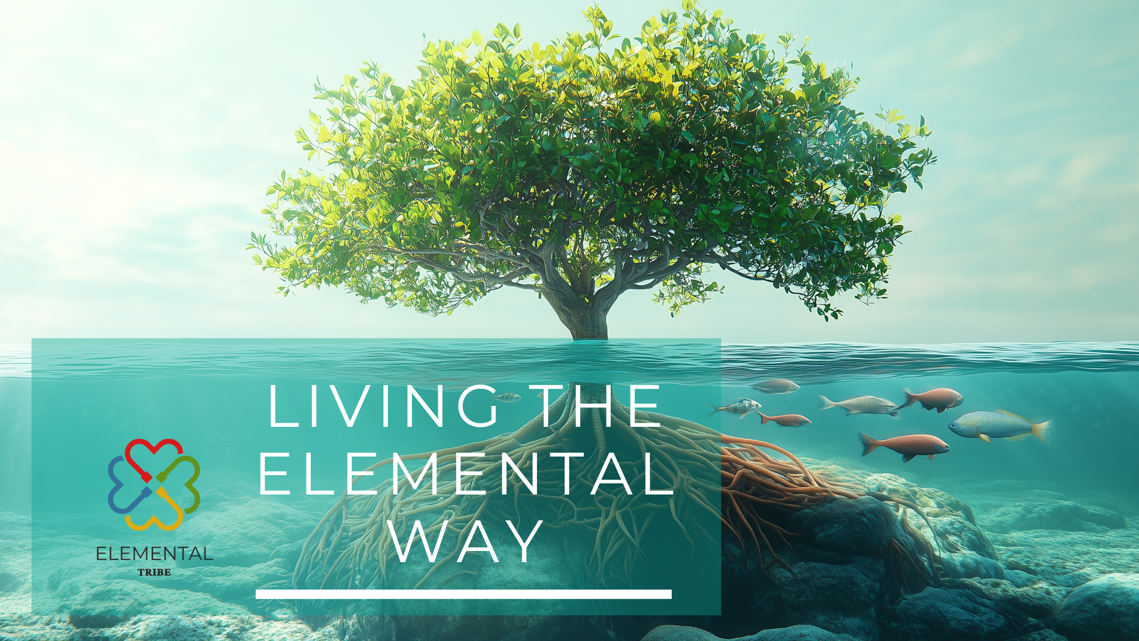 Seasons, Not Schedules: Living the Elemental Way