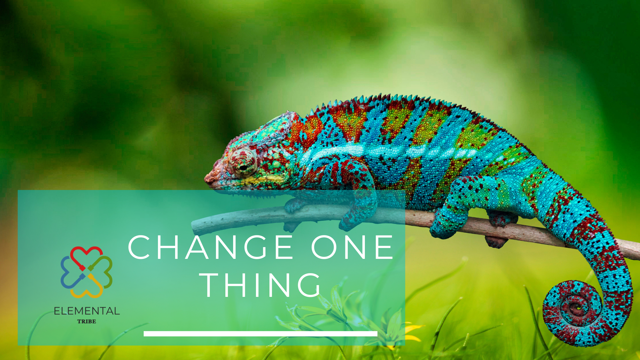 The One Change That Changes Everything