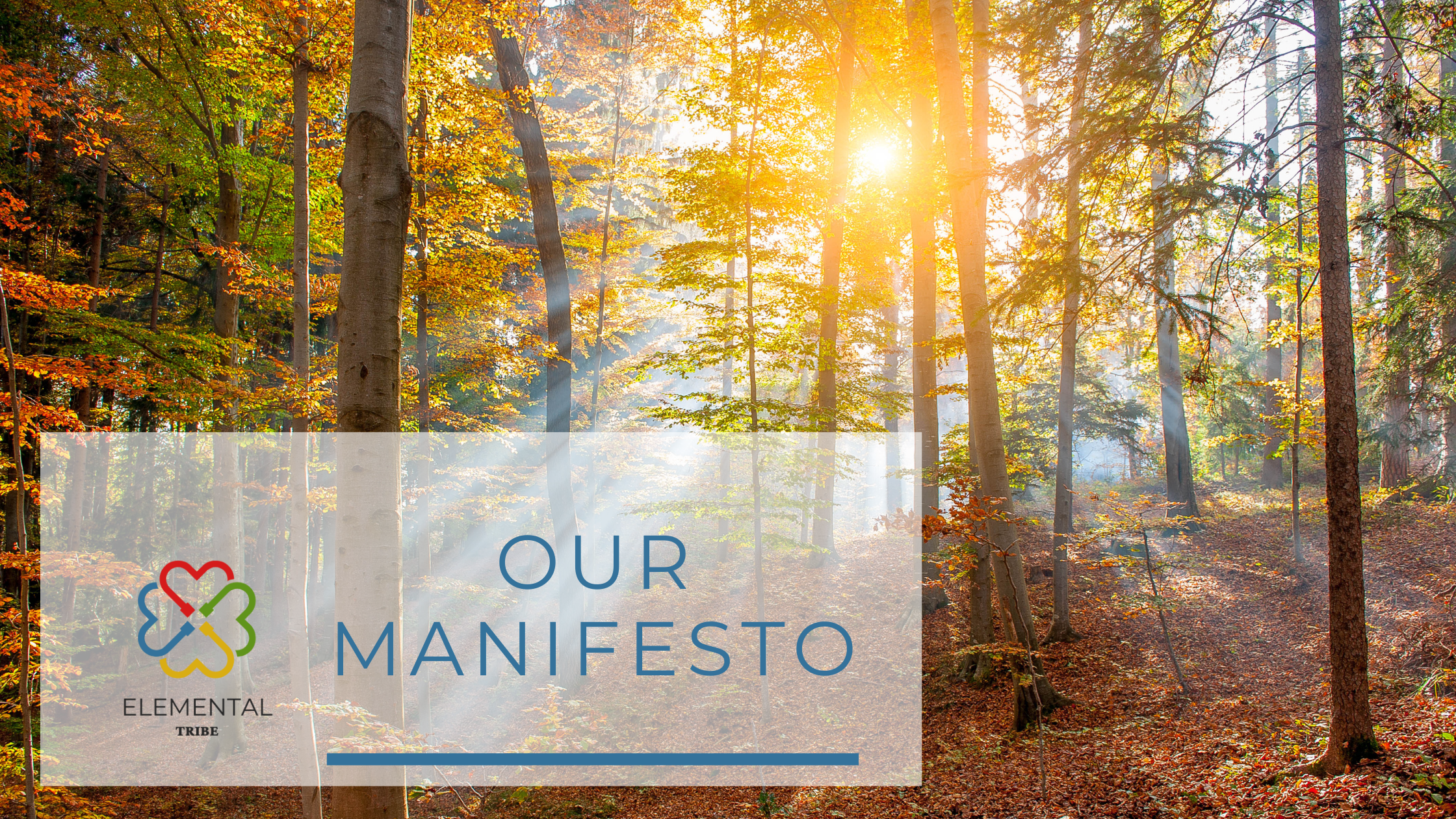 The Why of Elemental Tribe