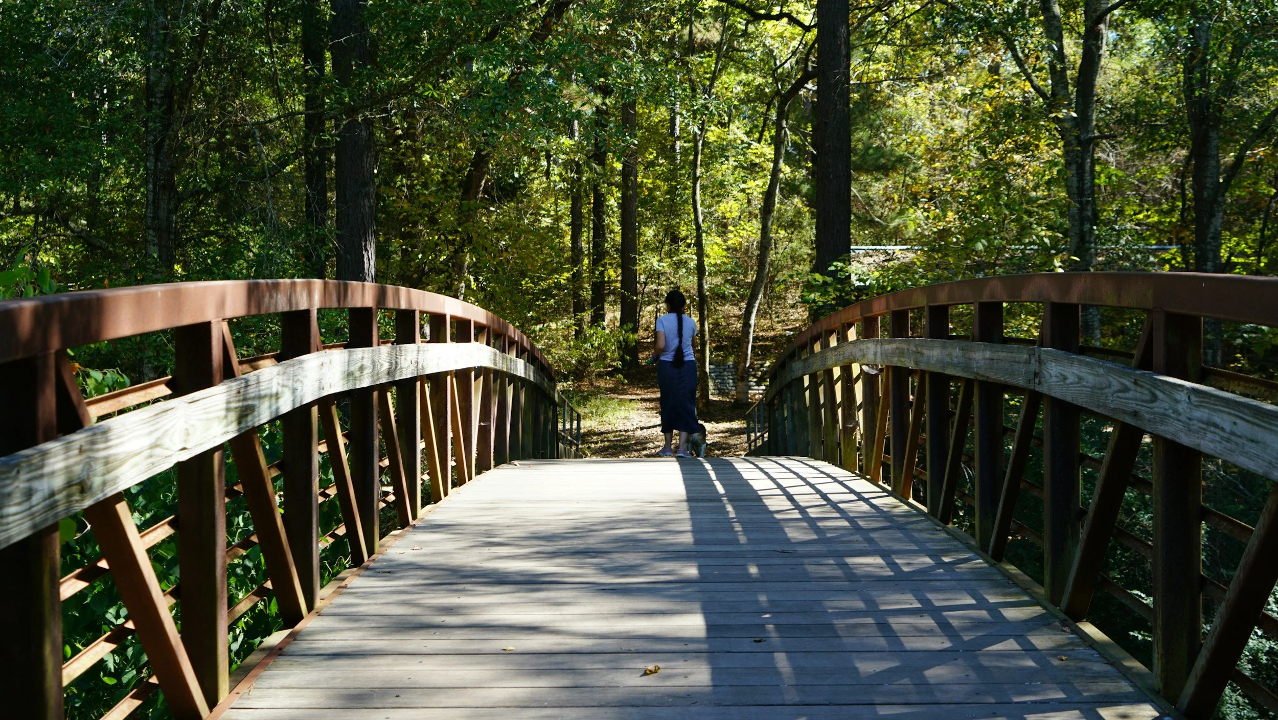 female with back to camera standing on the far side of a wooden bridge looking into a vivid green forest