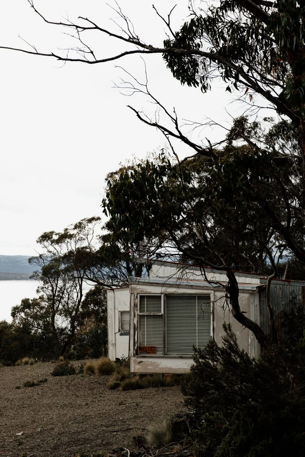 REWILDSTUDIO_HIGHLAND_LAKES_TASMANIA-7.jpg