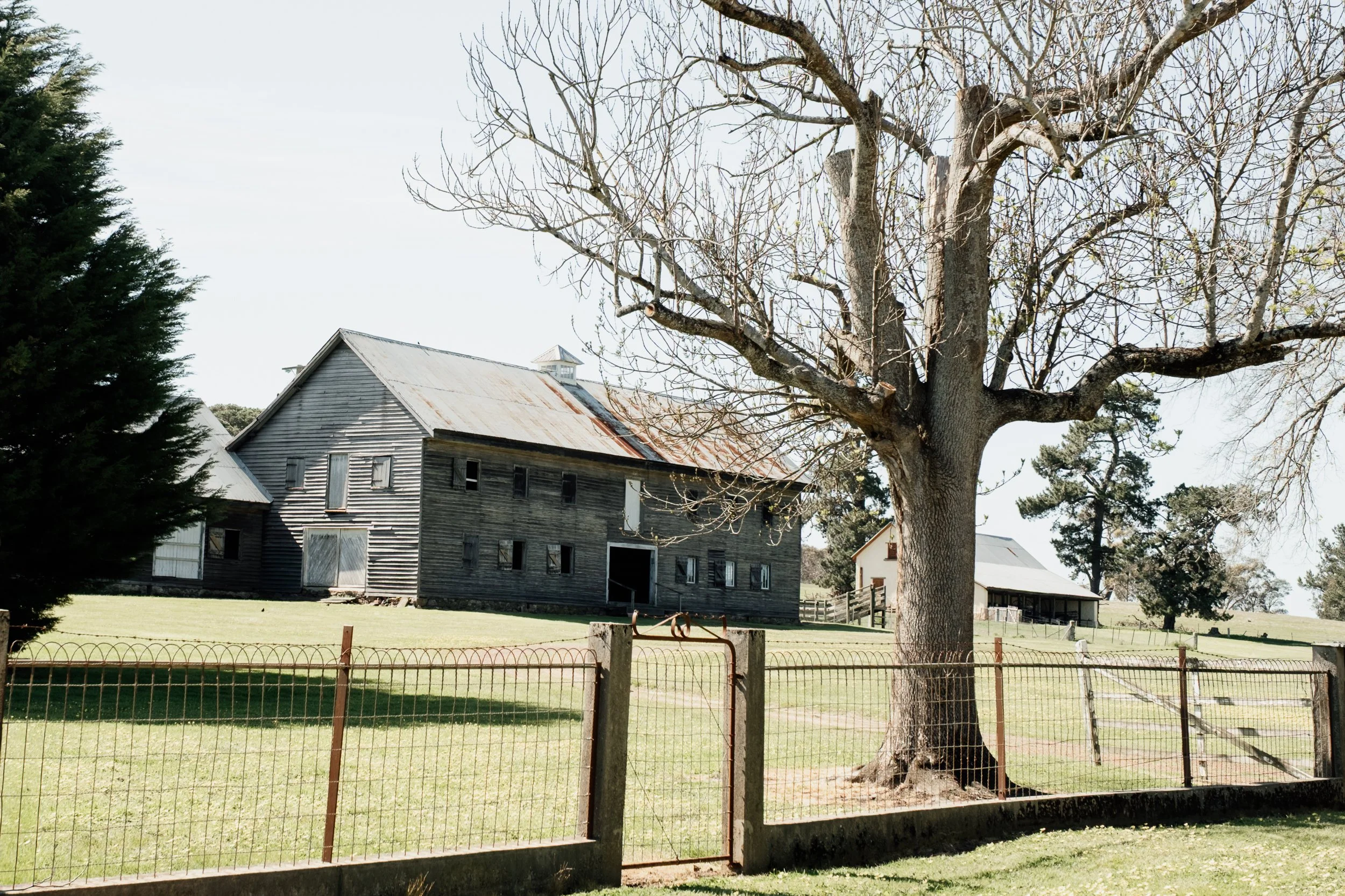 how strong images help the right people find you.