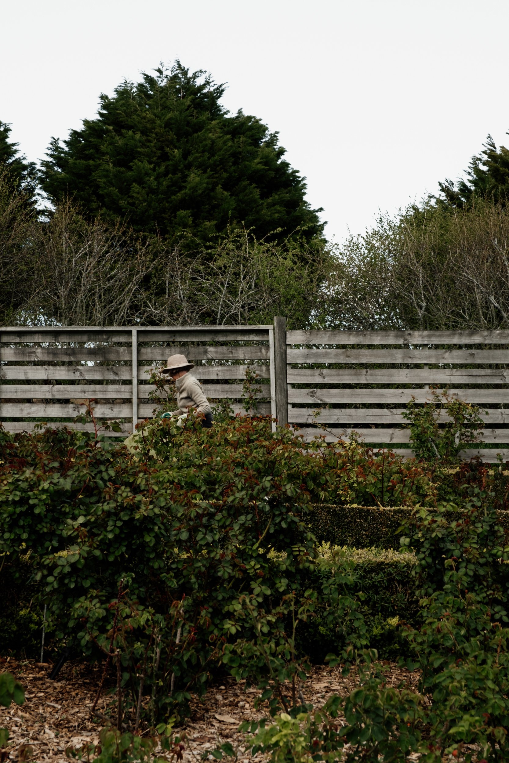 if you’ve found your way here