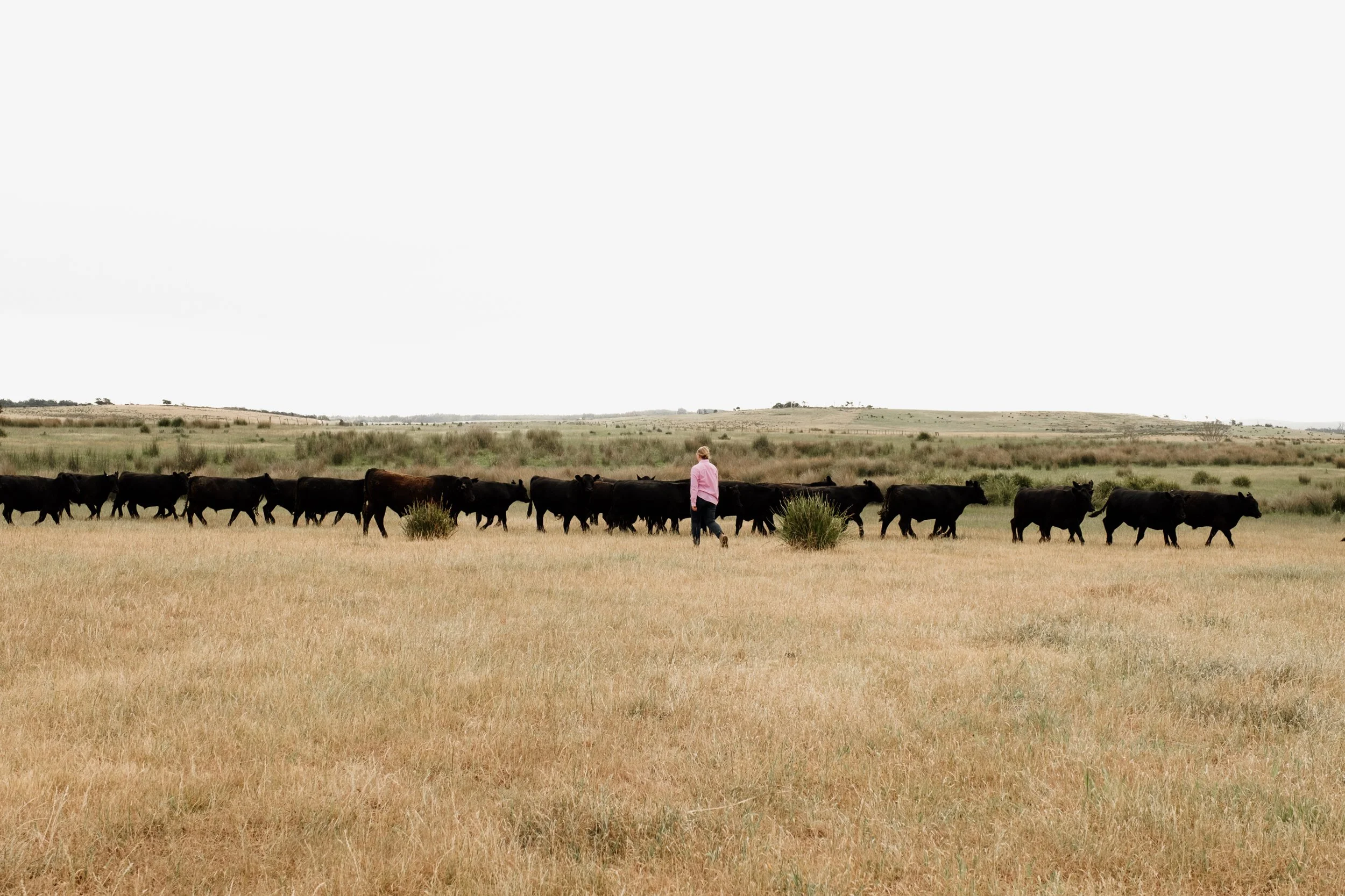 the kind of work i say yes to.