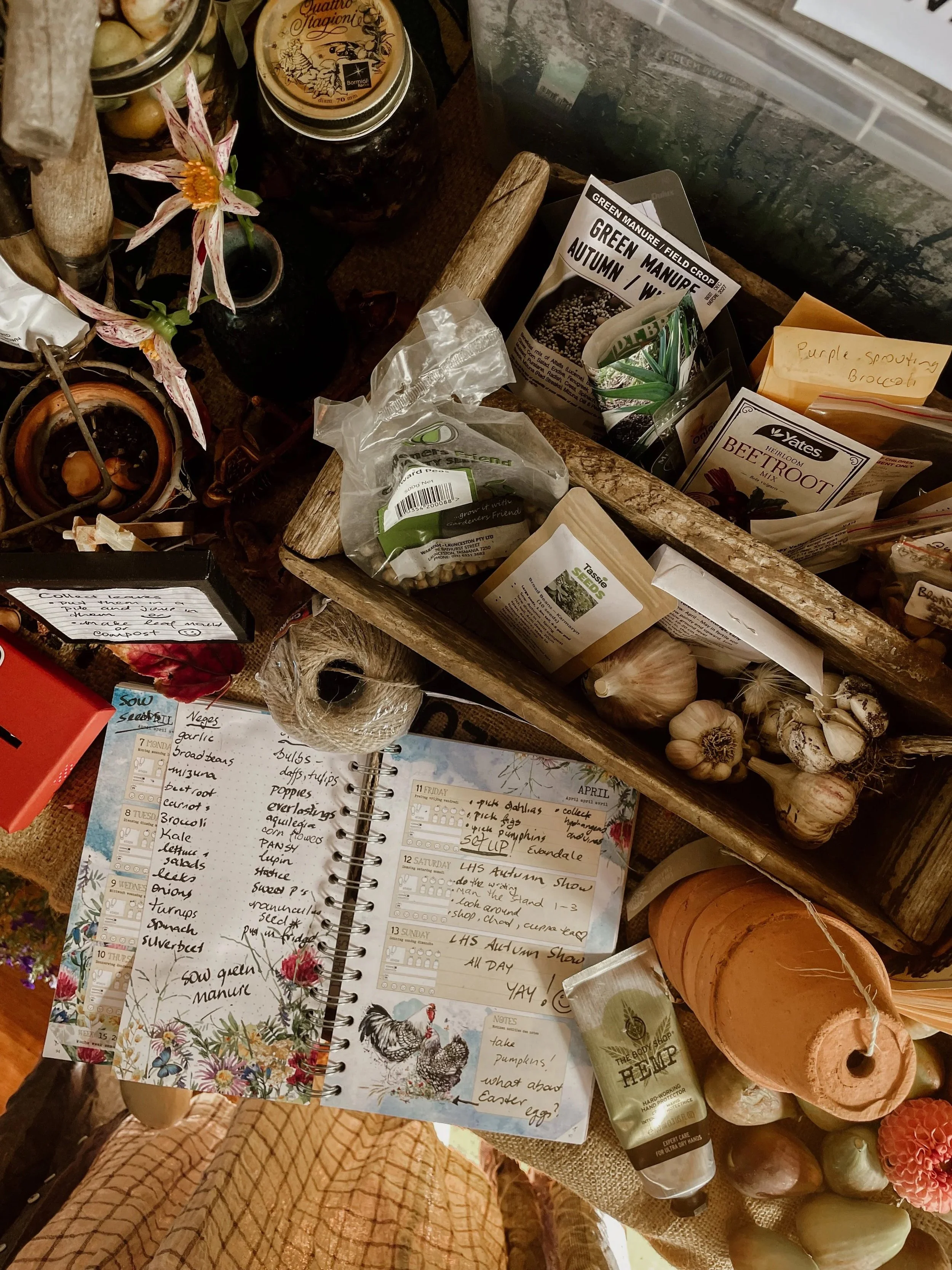 Garden planning workspace with seed packets, garlic bulbs, handwritten notes and tools.