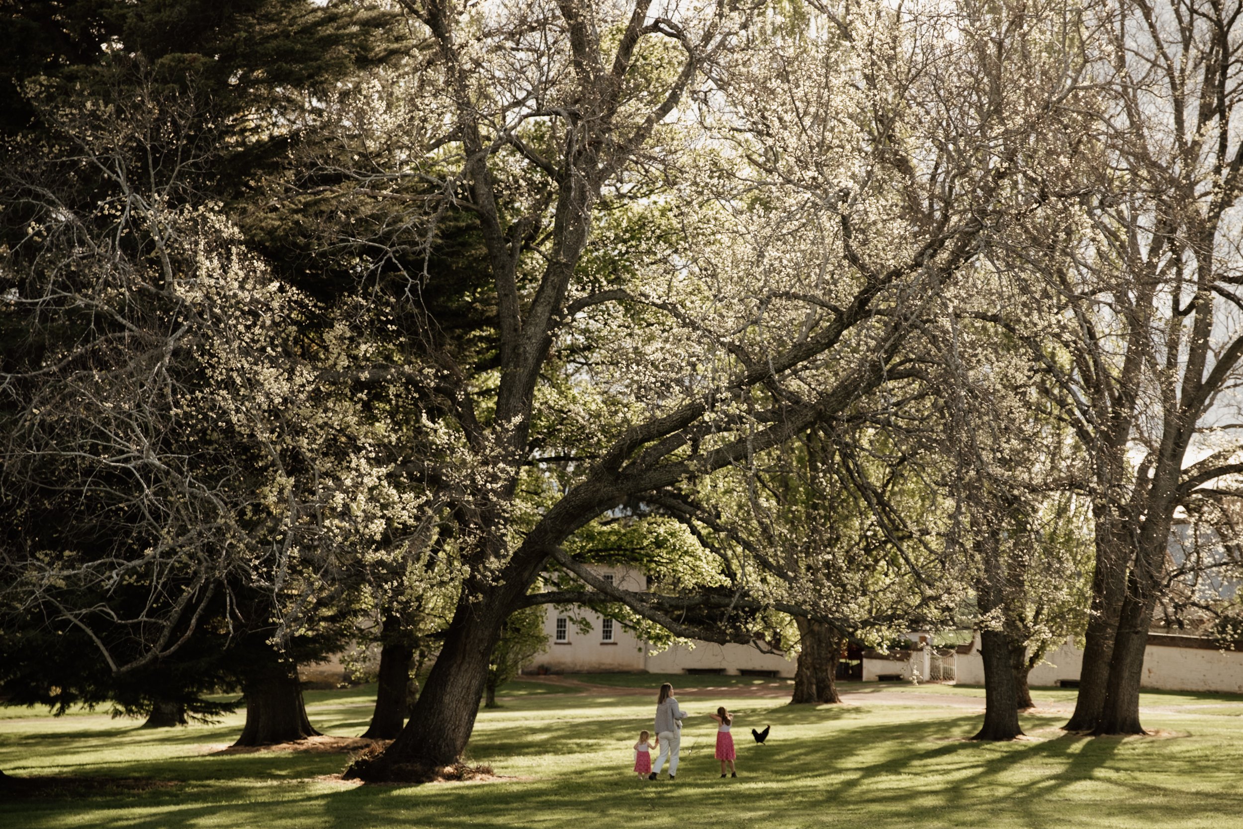 start with the photo.