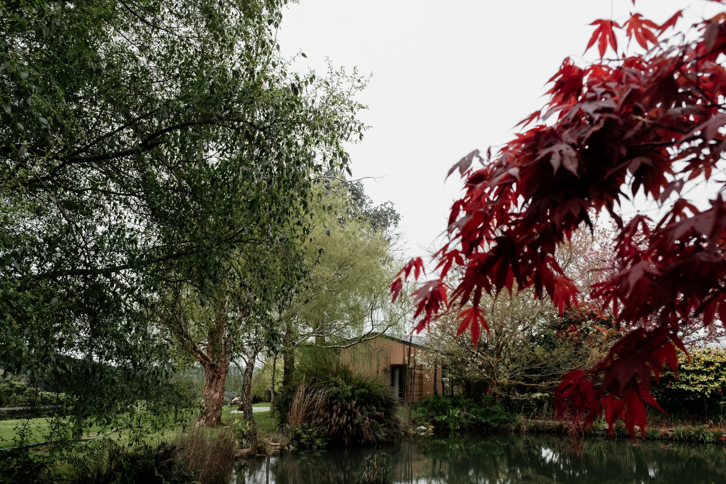 a digital thinking partner.