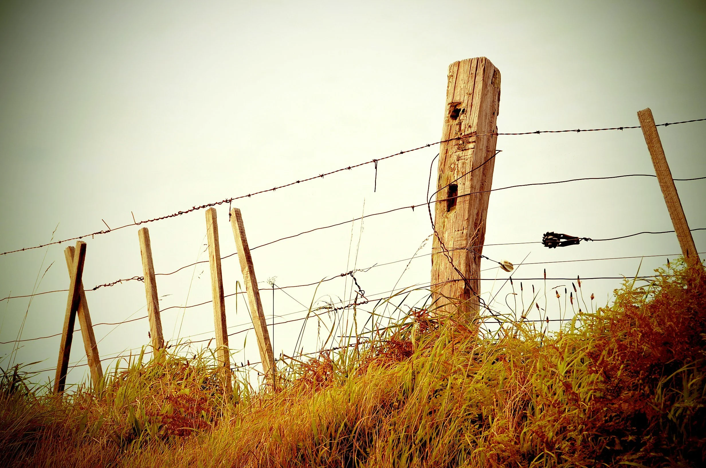 Wooden fence with barbed wire on a grassy hillside under a cloudy sky.