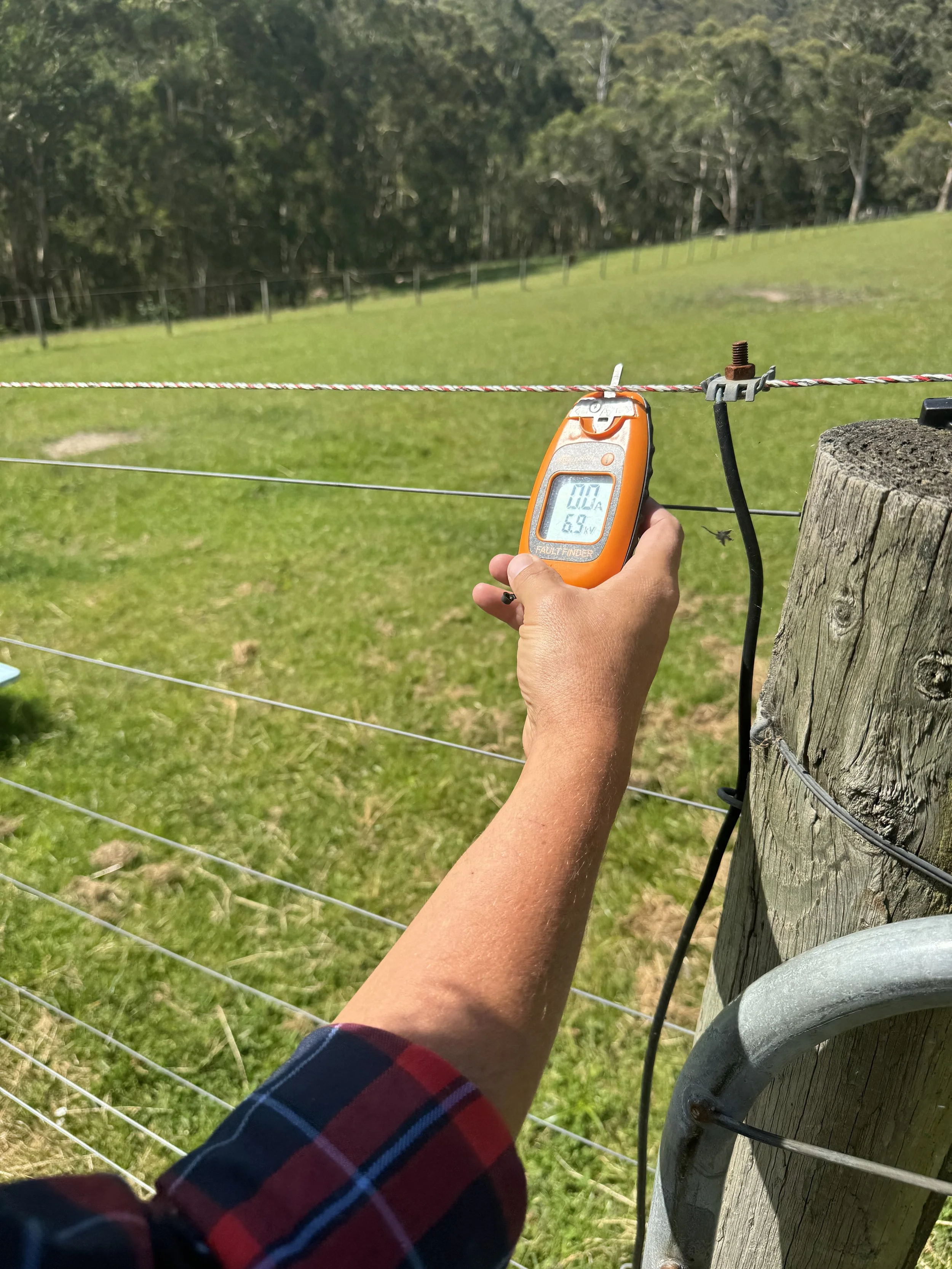 Person holding a digital meter measuring electric voltage on a wire at a fenced outdoor field.