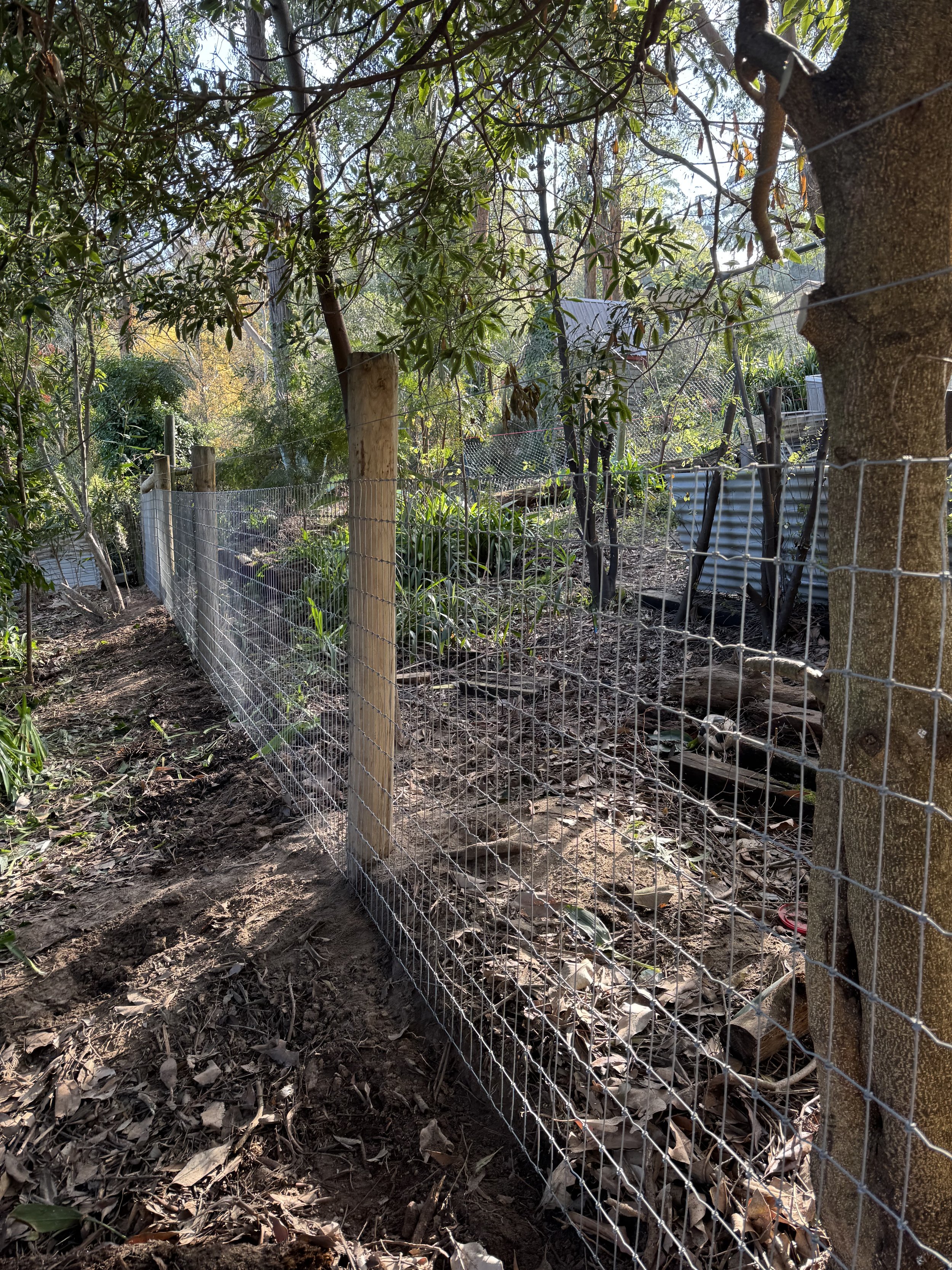 A garden with a wire fence supported by wooden posts, surrounded by trees and plants, and a shed in the background.