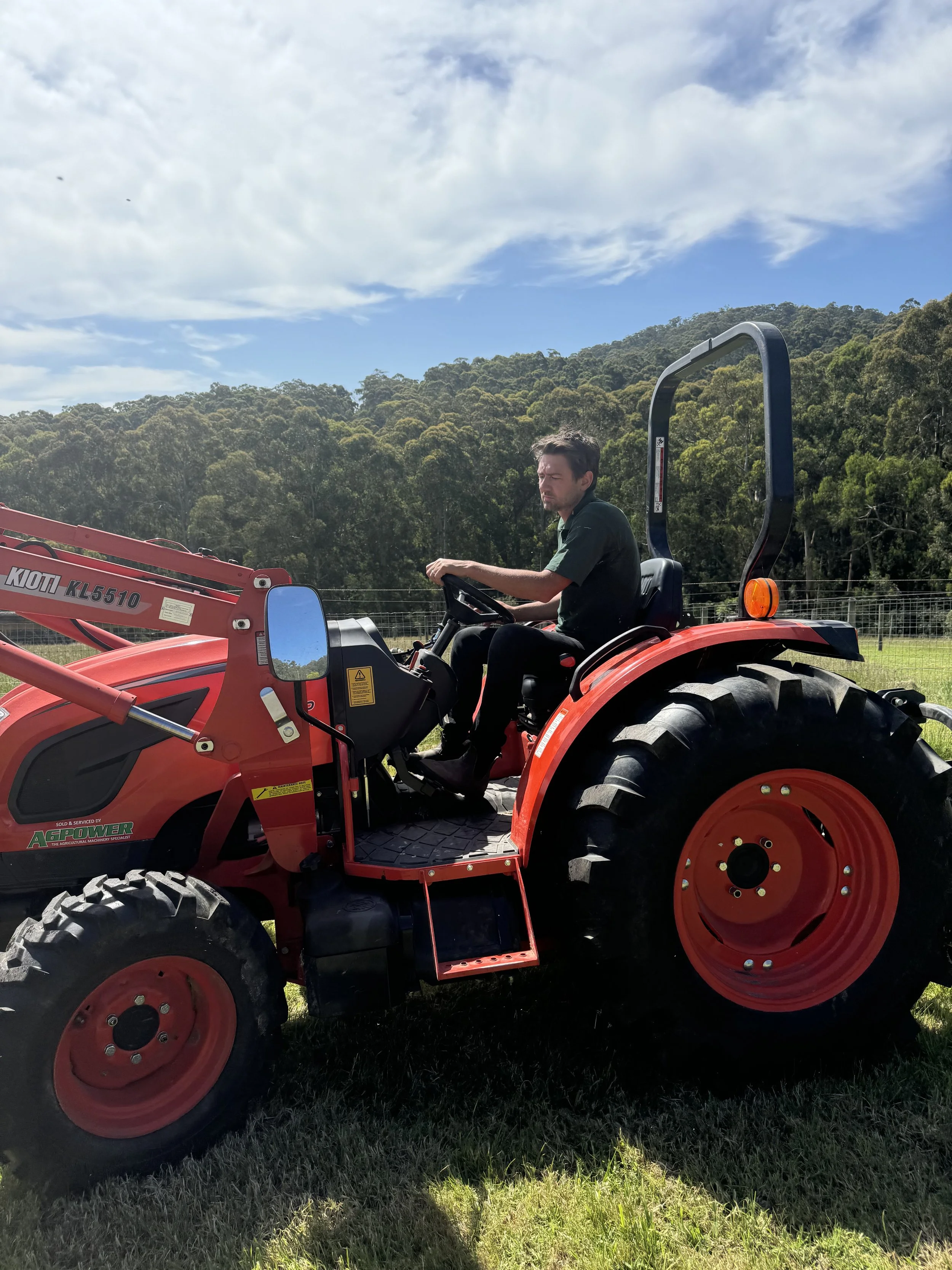 Man operating a red tractor on grass field with trees and blue sky in the background.