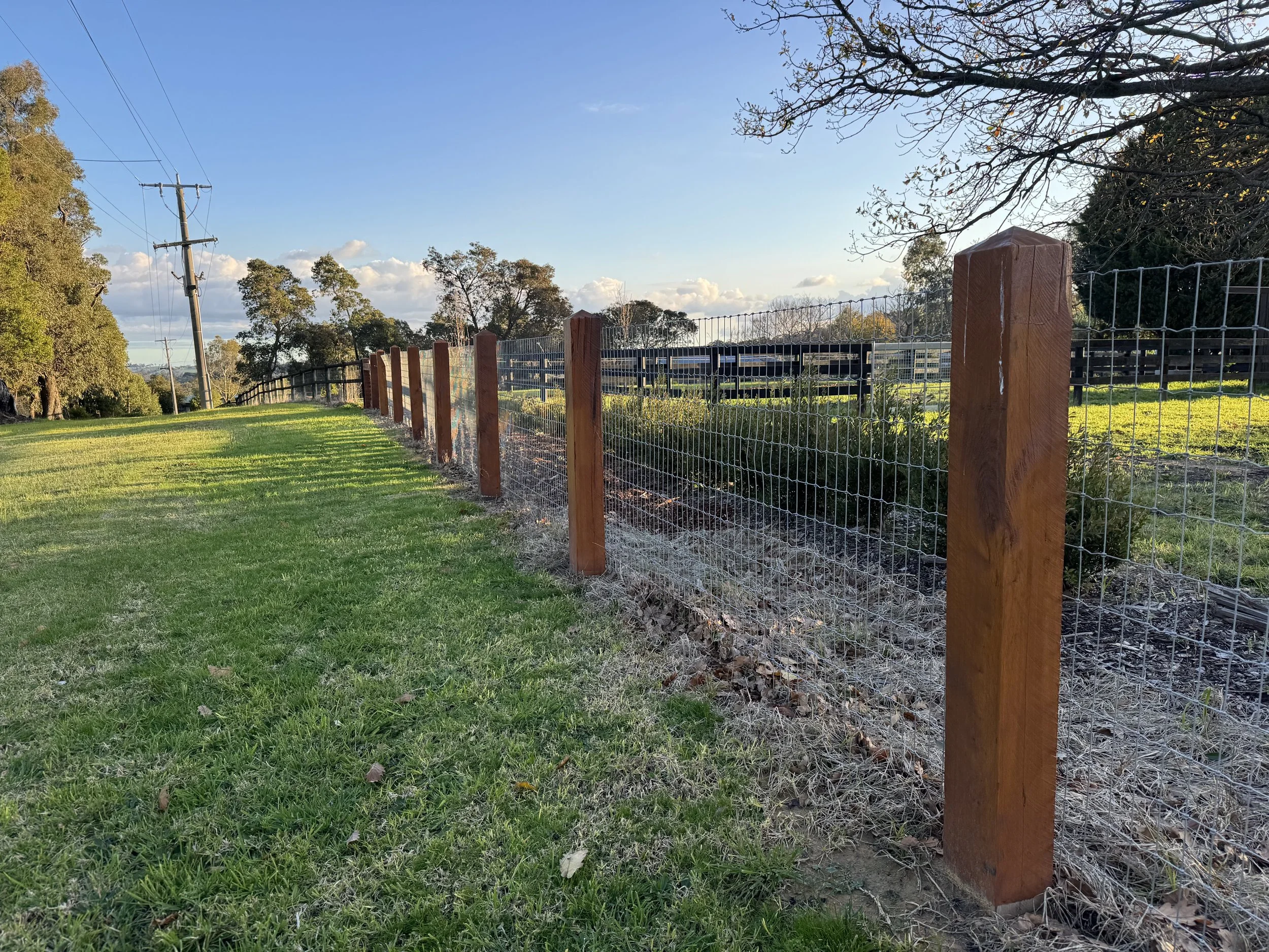 Fenced grassy field with trees and utility poles under a blue sky with clouds.