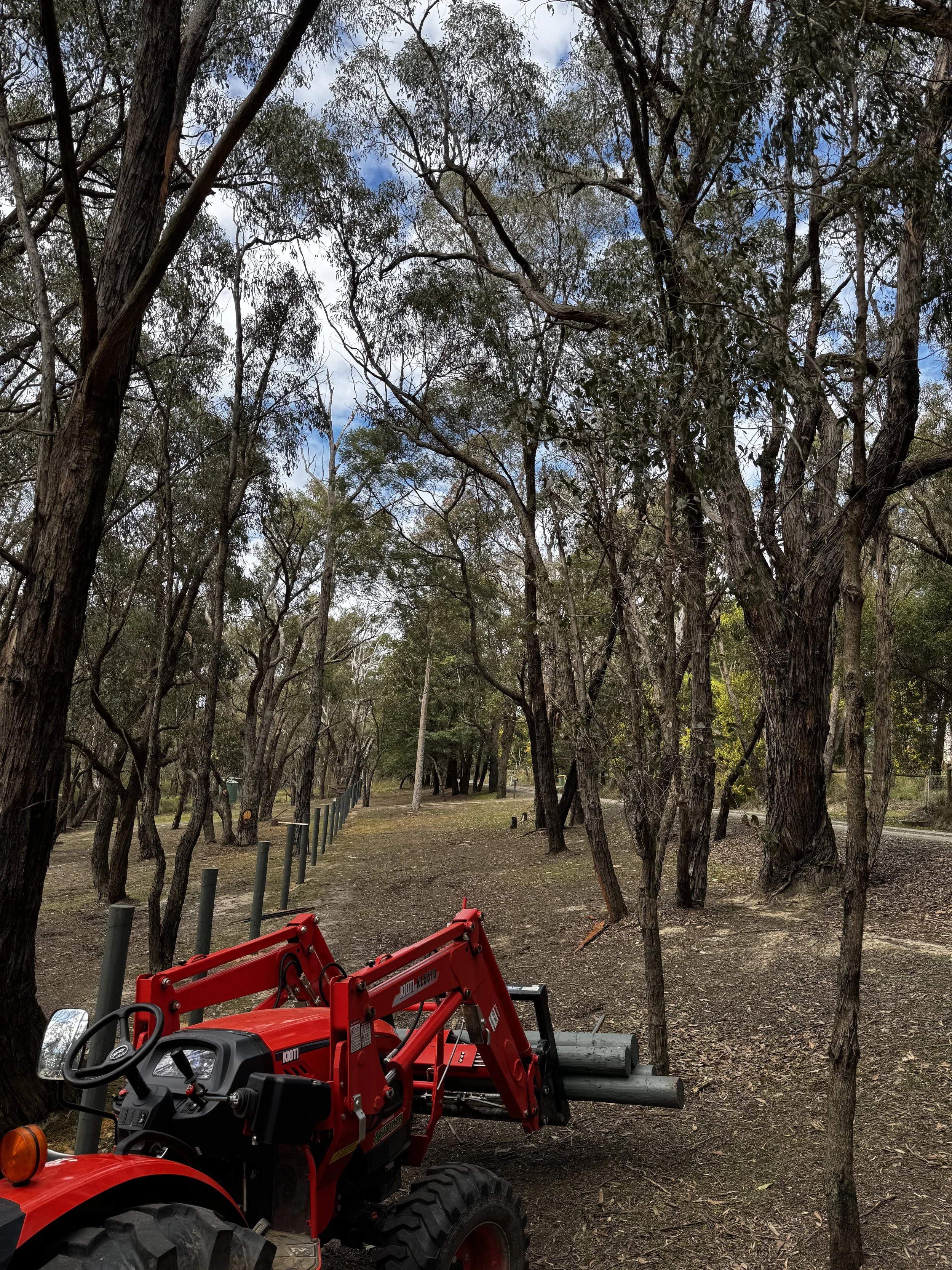A red tractor in a wooded area with tall trees, a dirt path, and a partly cloudy sky.