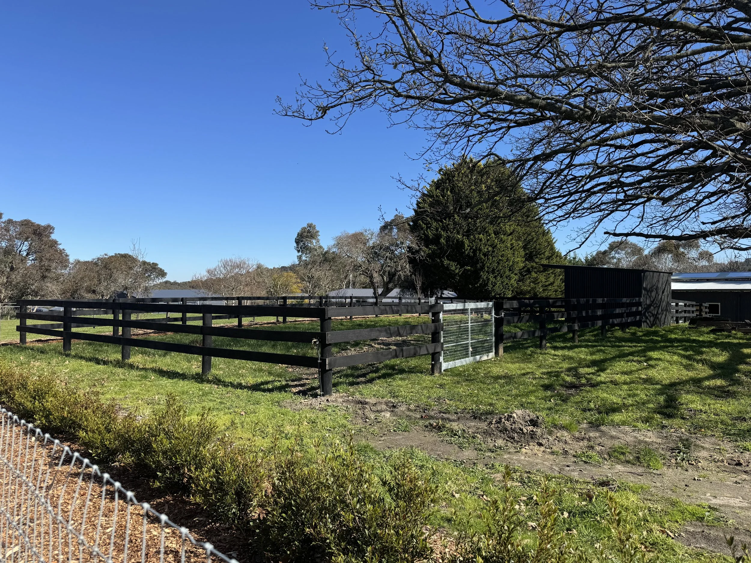 A fenced outdoor area on a farm or ranch with green grass, trees, and a clear blue sky.