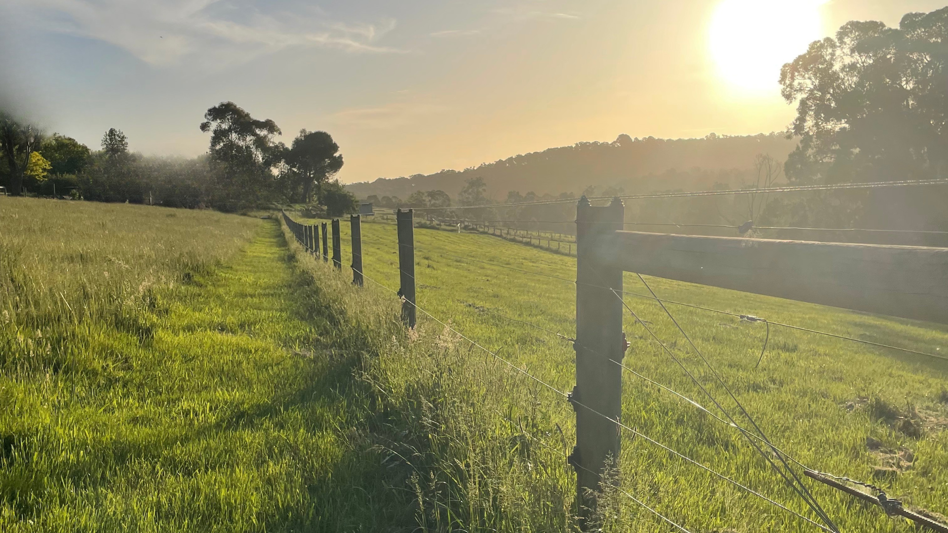 A grassy field with a wooden fence and wires running along it, trees in the background, and sunlight shining in the sky.