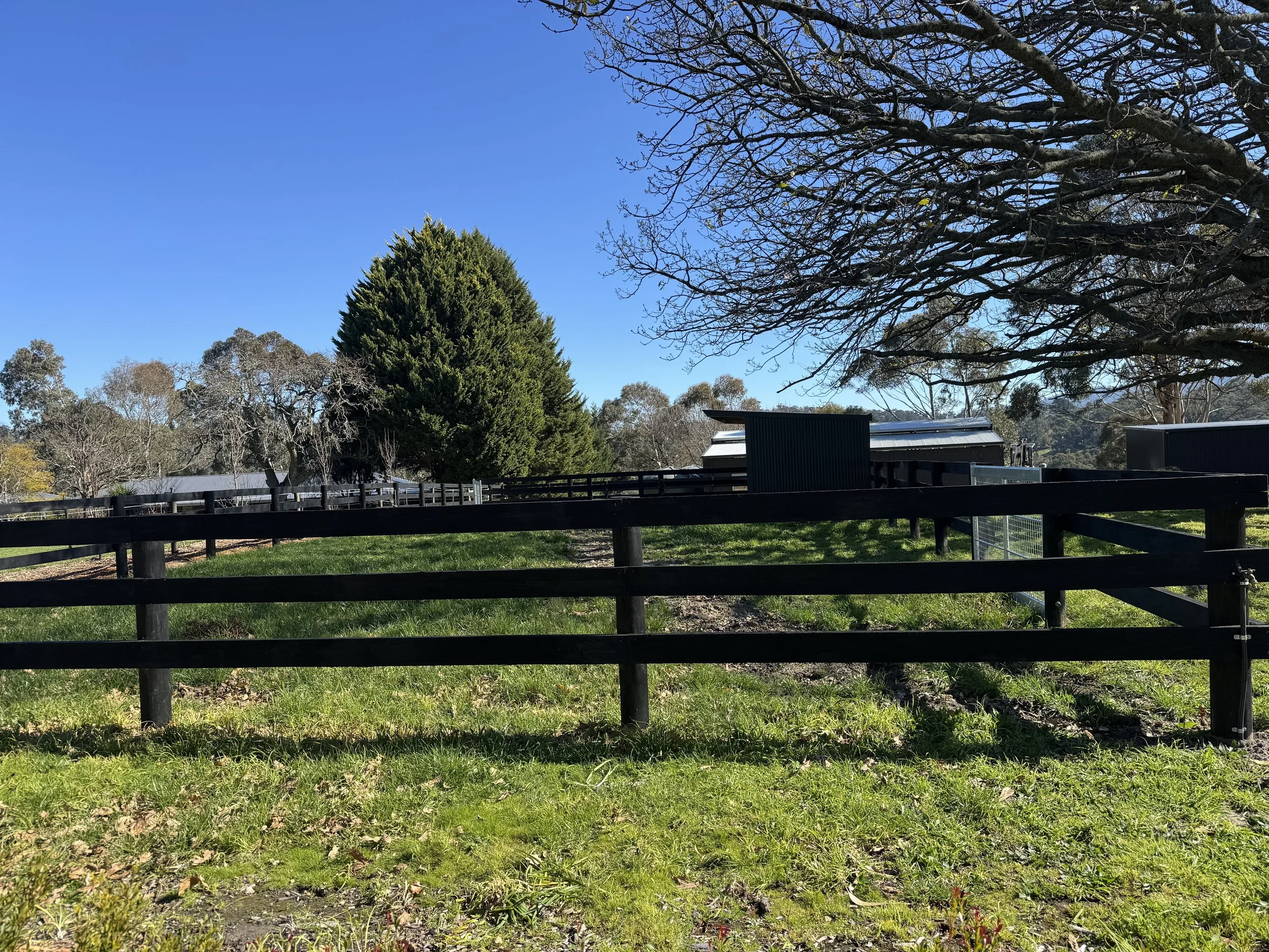 A farm with black fences, trees, and small black structures under a clear blue sky.