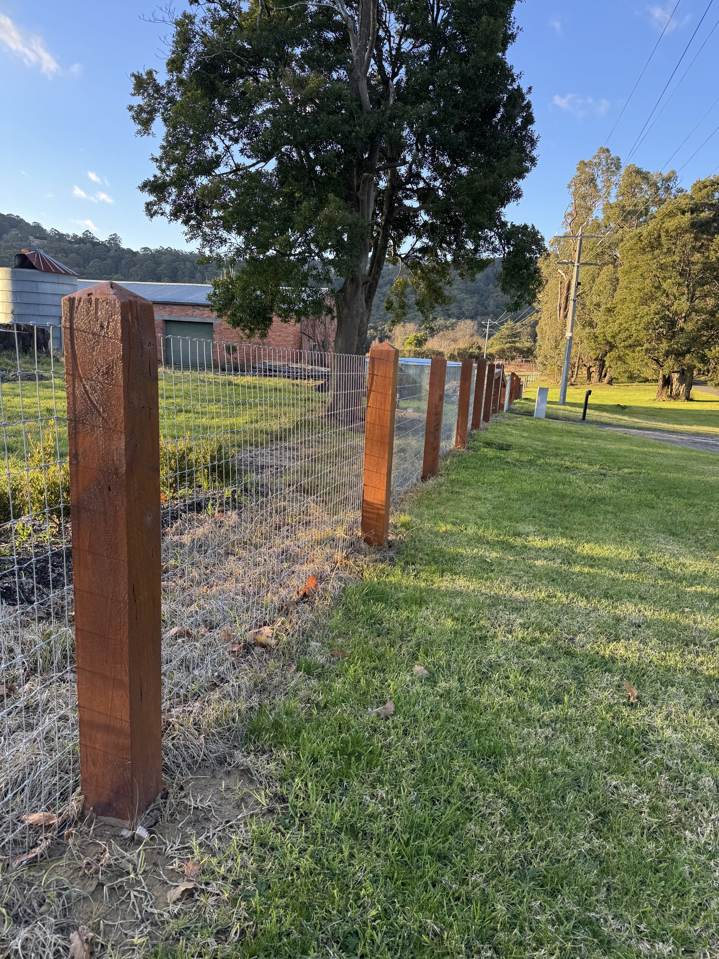 A wire fence with wooden posts along a grassy area near trees and utility poles, with a building and hills in the background during late afternoon sunlight.