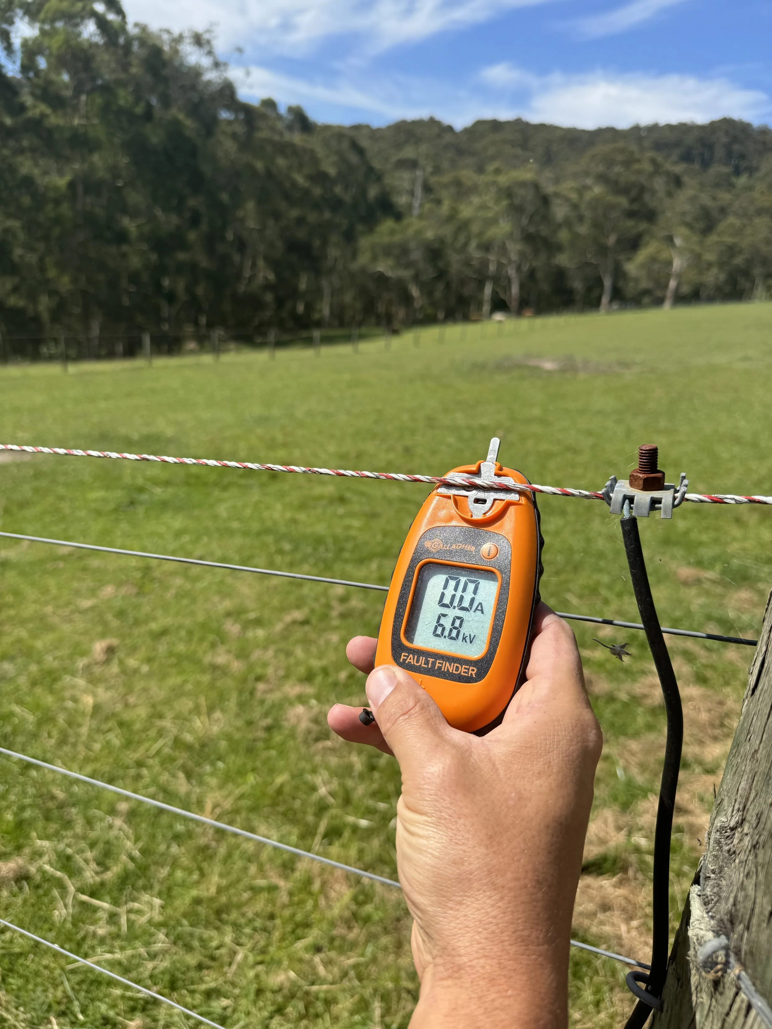 A person holding a digital electric tester measuring voltage on a barbed wire fence in a grassy field with trees and hills in the background.