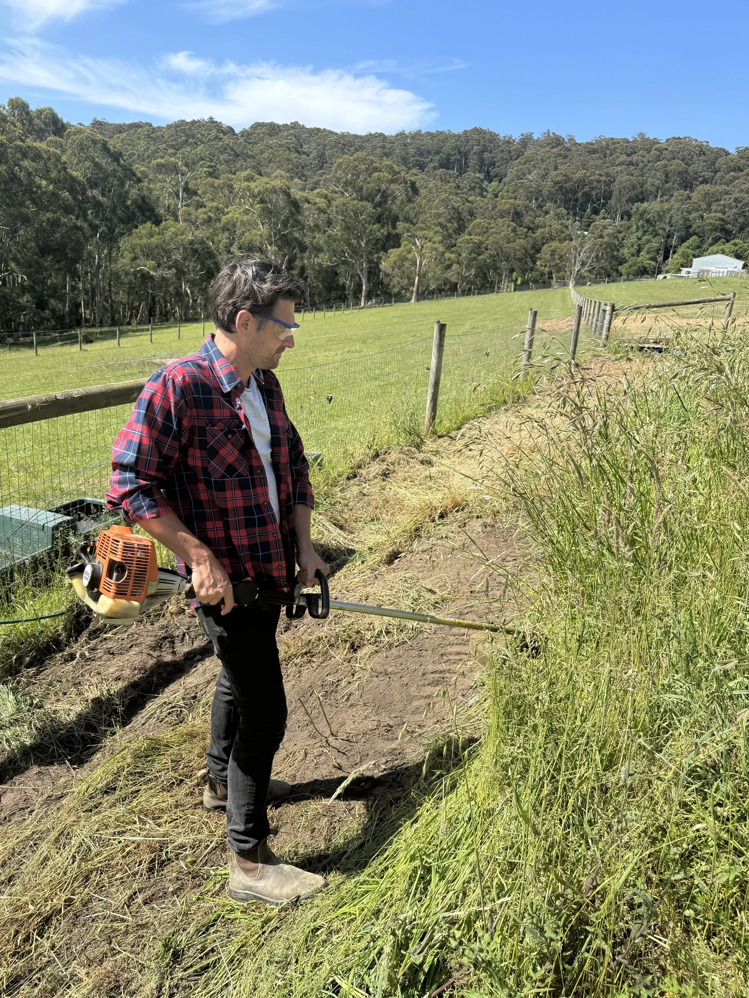 Man trimming tall grass with a weed trimmer in a rural field on a sunny day.
