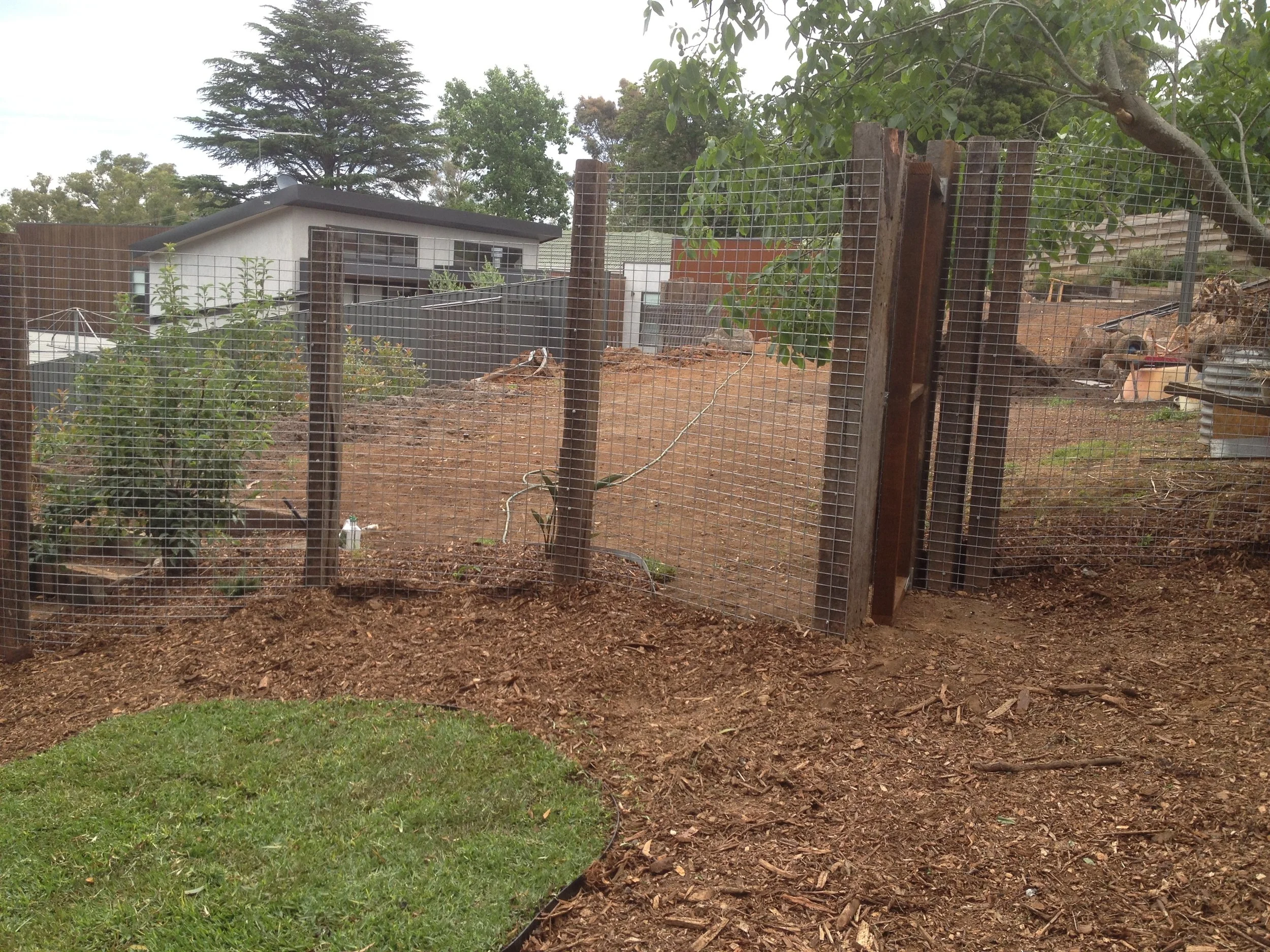 A backyard garden enclosed by a wire mesh fence, with a small grassy area in the foreground and a dirt area beyond. In the background, there is a modern white house with large windows, surrounded by trees.