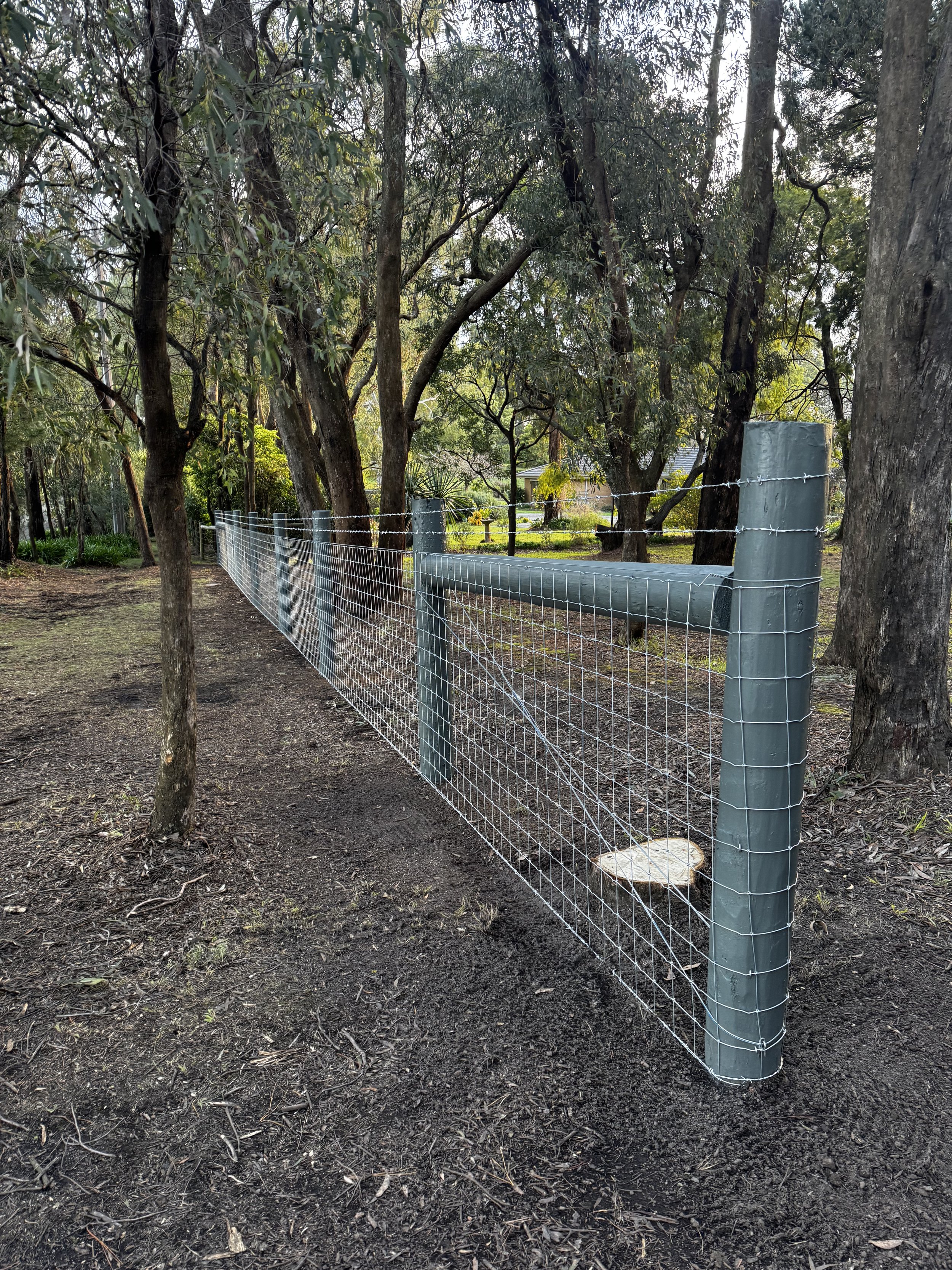 A metal wire fence with gray posts running through a wooded area with trees and a grassy background.