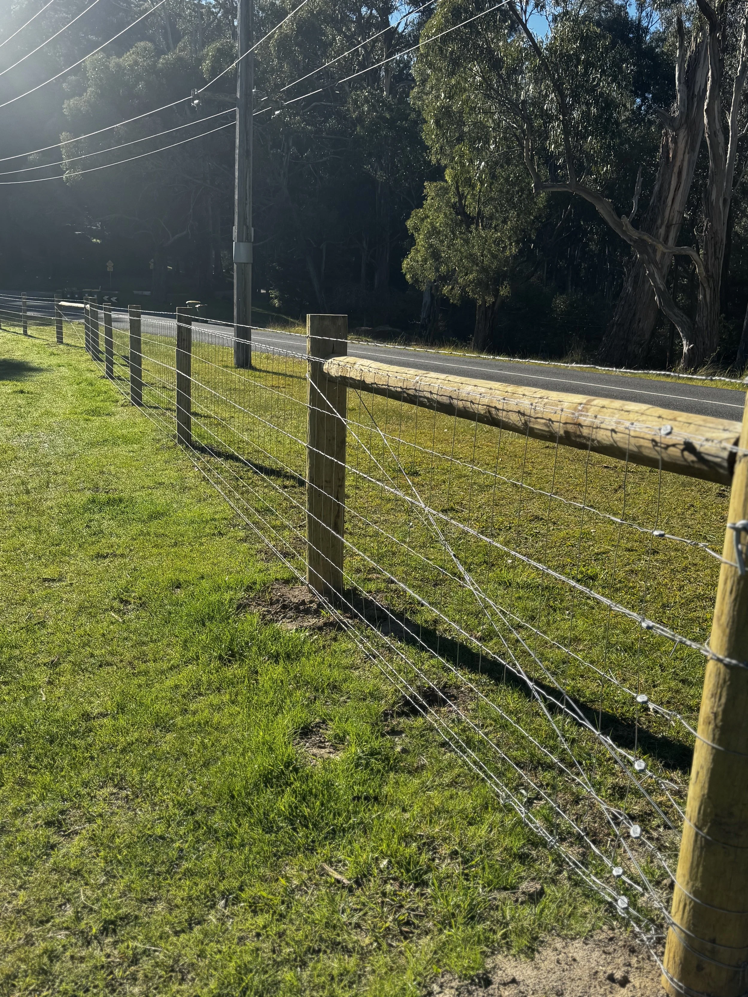 A wire fence runs along a grassy yard next to a road, with trees in the background and sunlight casting shadows.