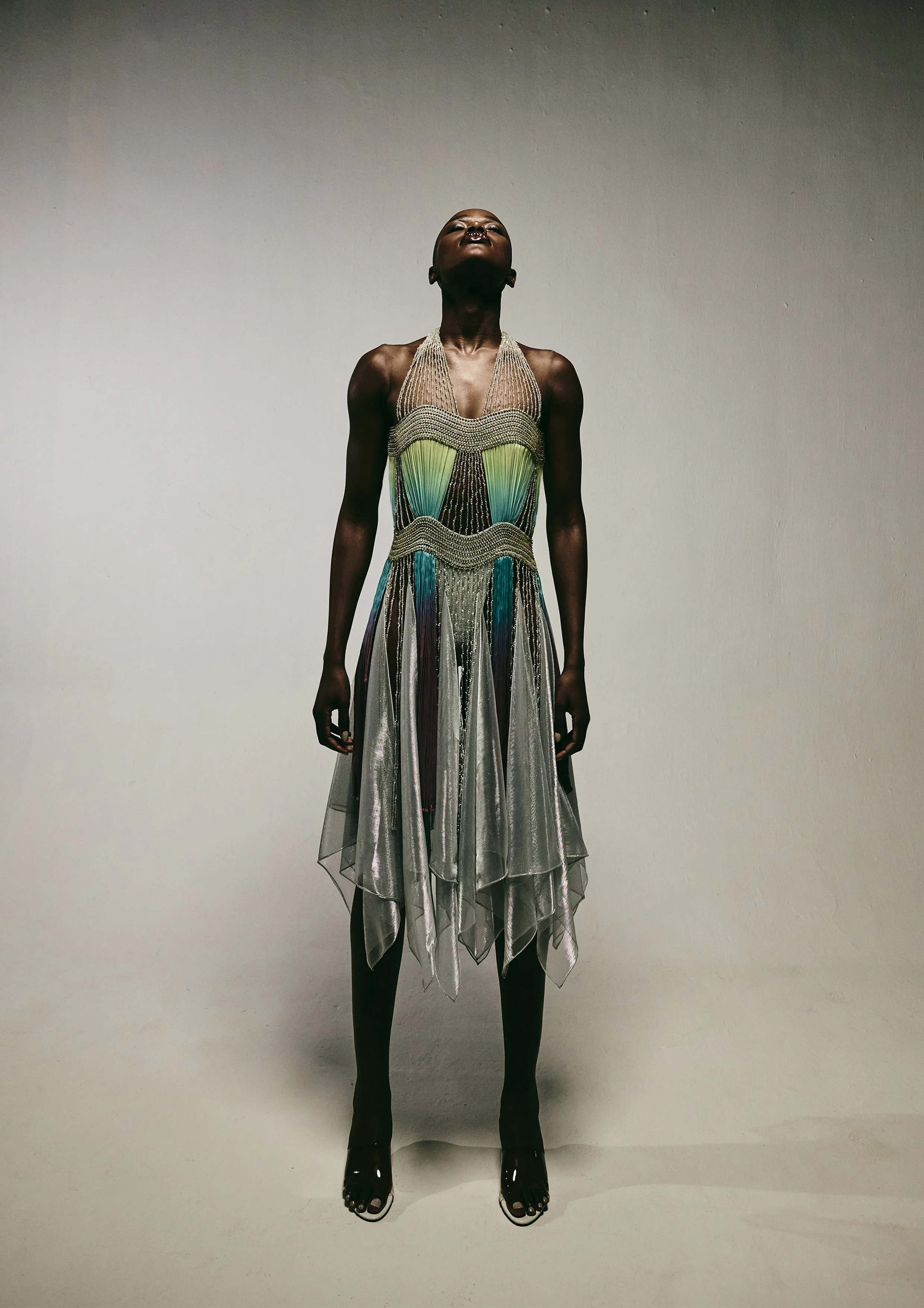 AK-PSS26-CO2 (4).jpg