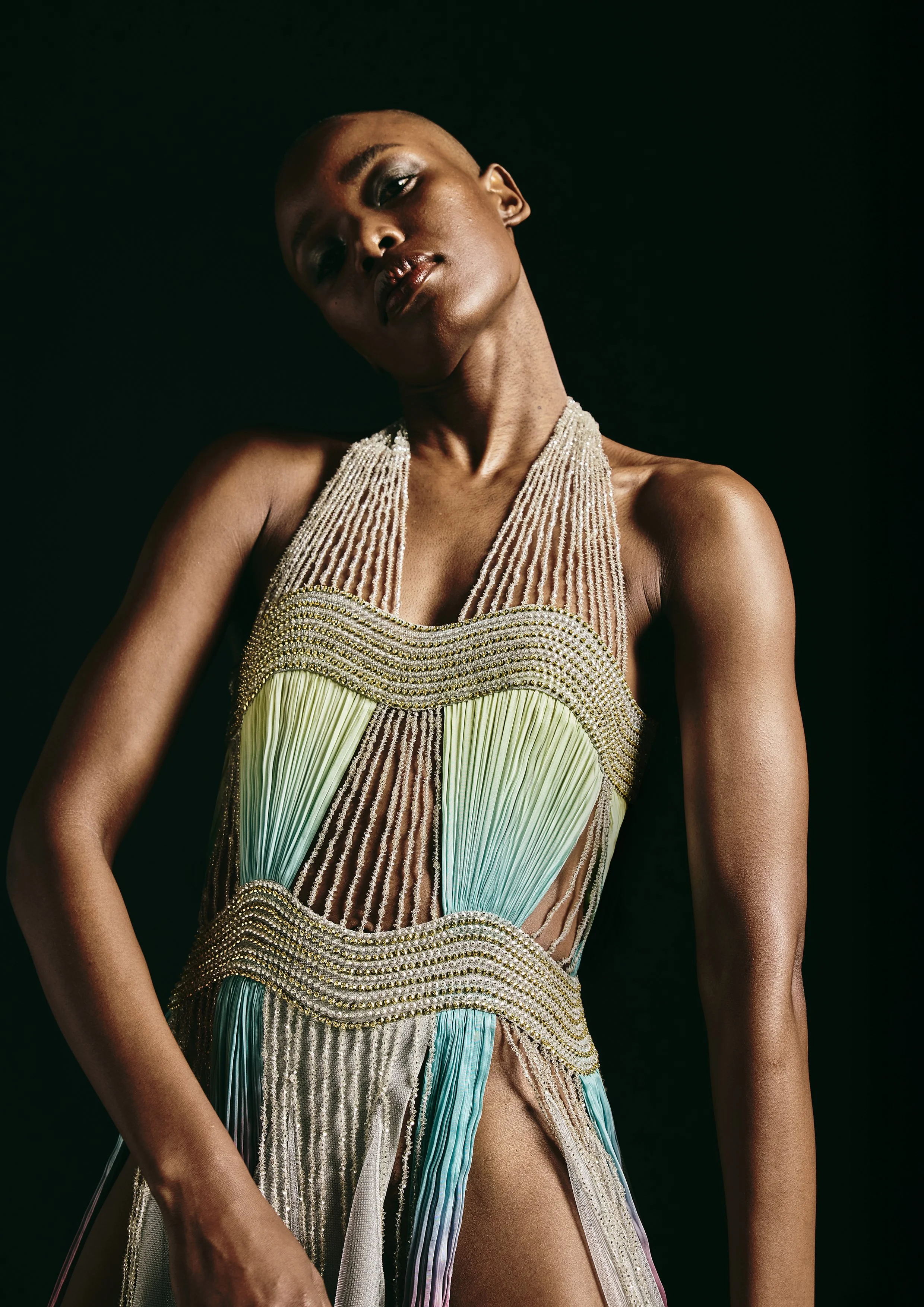 AK-PSS26-CO2 (3).jpg