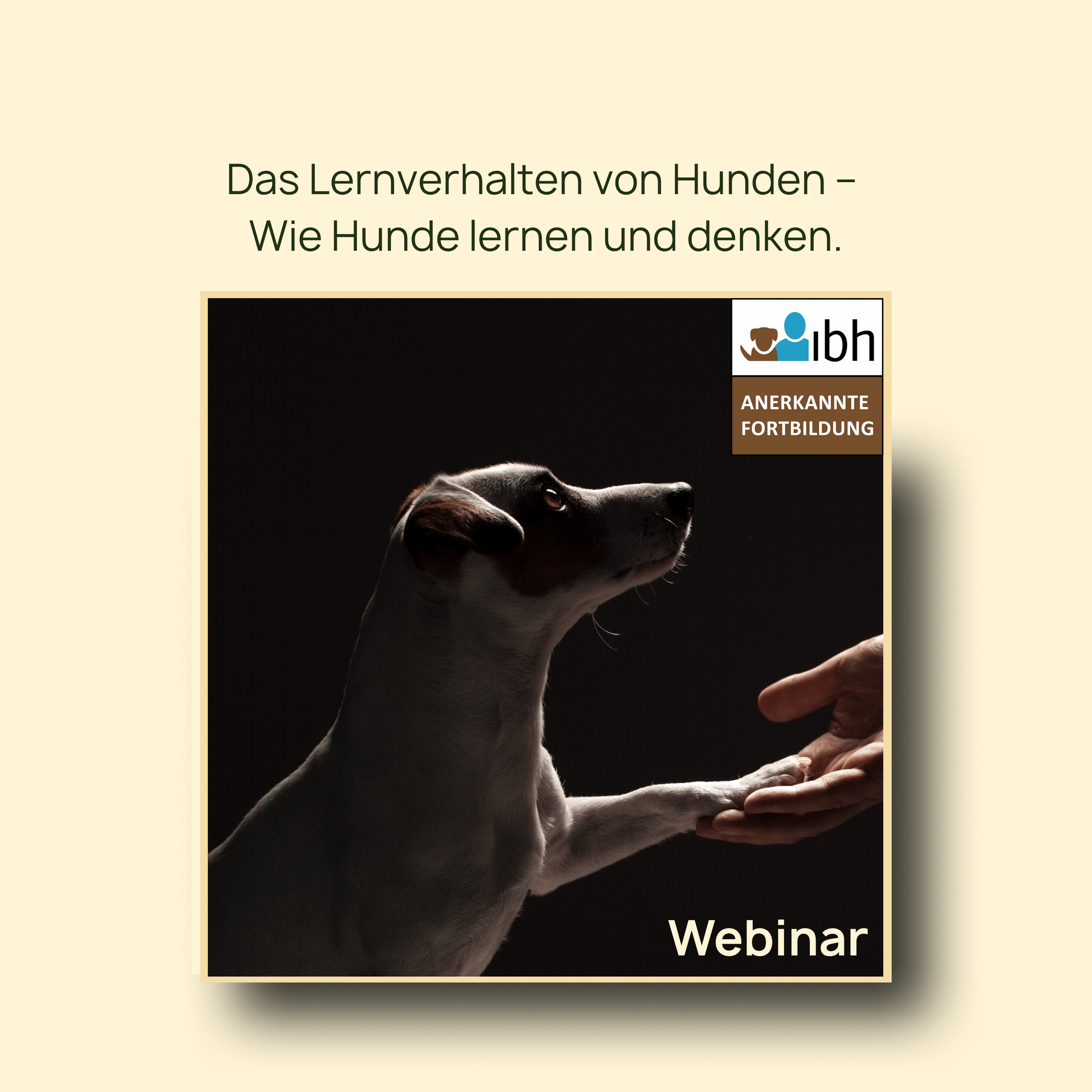 Webinaraufzeichnung: Das Lernverhalten von Hunden – Wie Hunde lernen und denken.