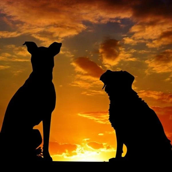 Sonnenaufgangswanderung