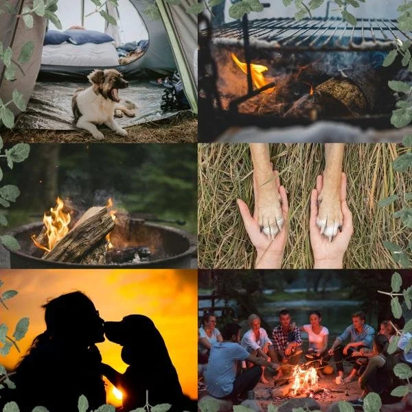 Campingwochenende mit Hund