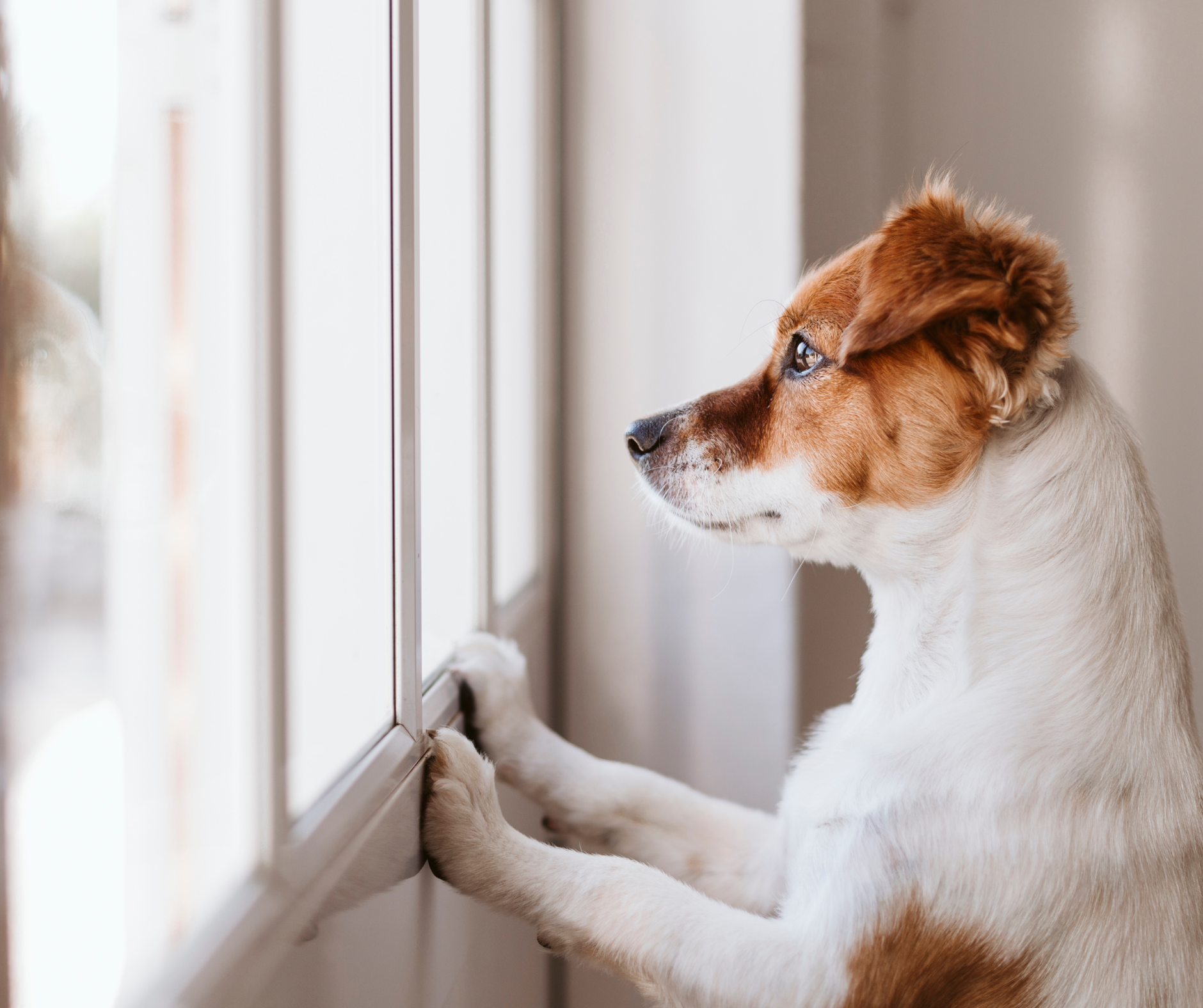 Online-Training: Trennungsstress