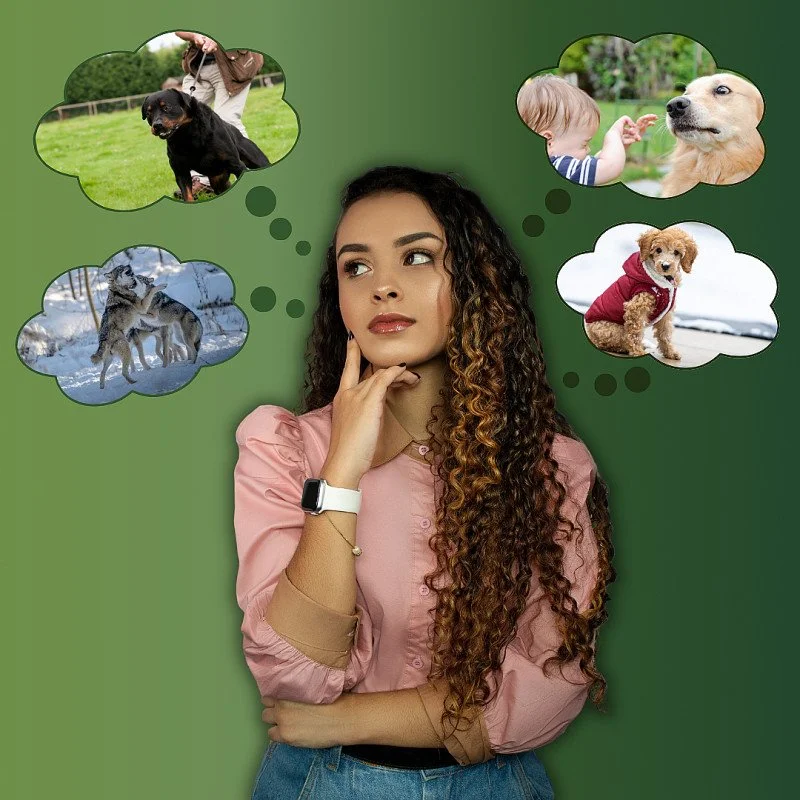 Live-Webinar: Mythen und Märchen rund um den Hund - Was sagt die Wissenschaft?
