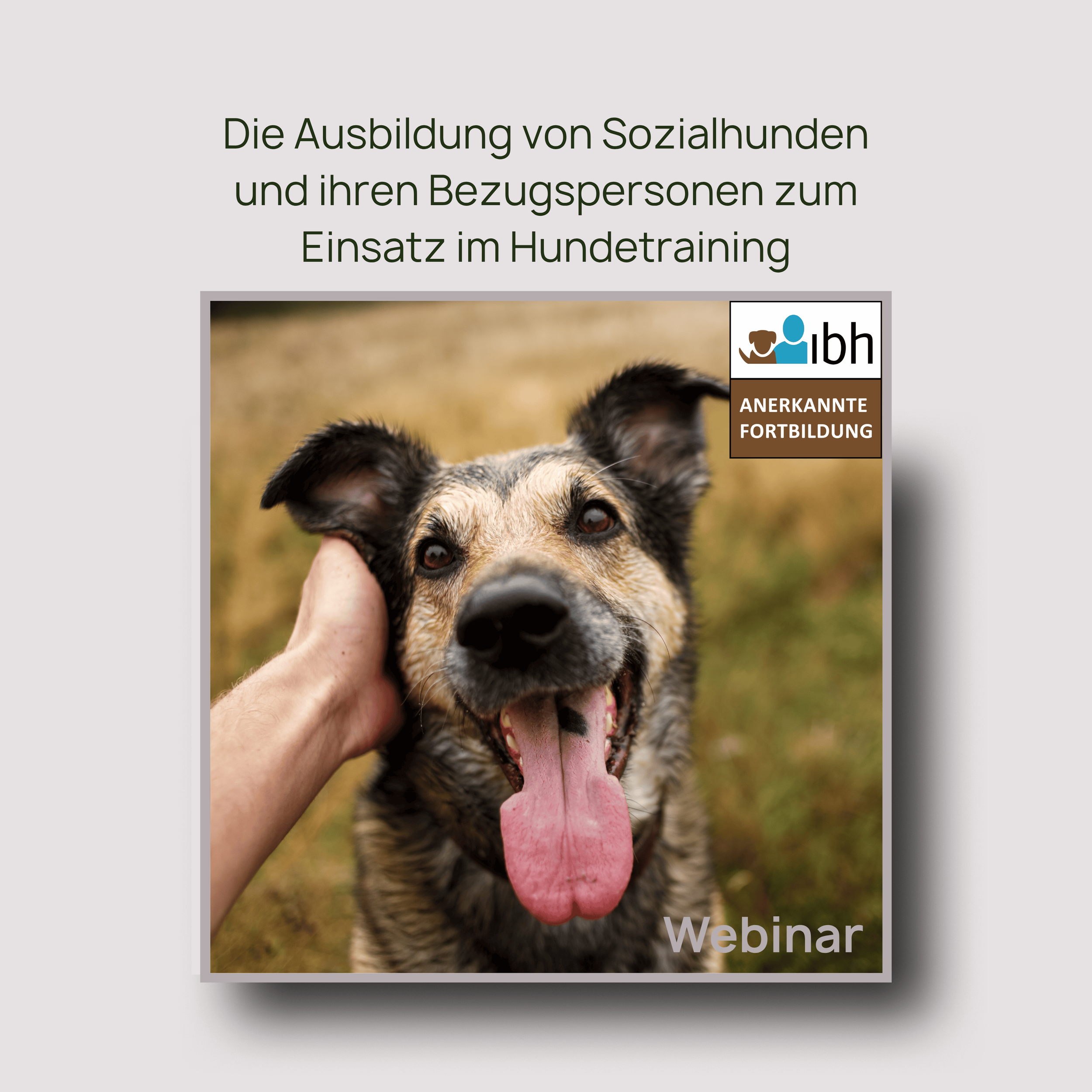 Webinaraufzeichnung: Die Ausbildung von Sozialhunden und ihren Bezugspersonen zum Einsatz im Hundetraining
